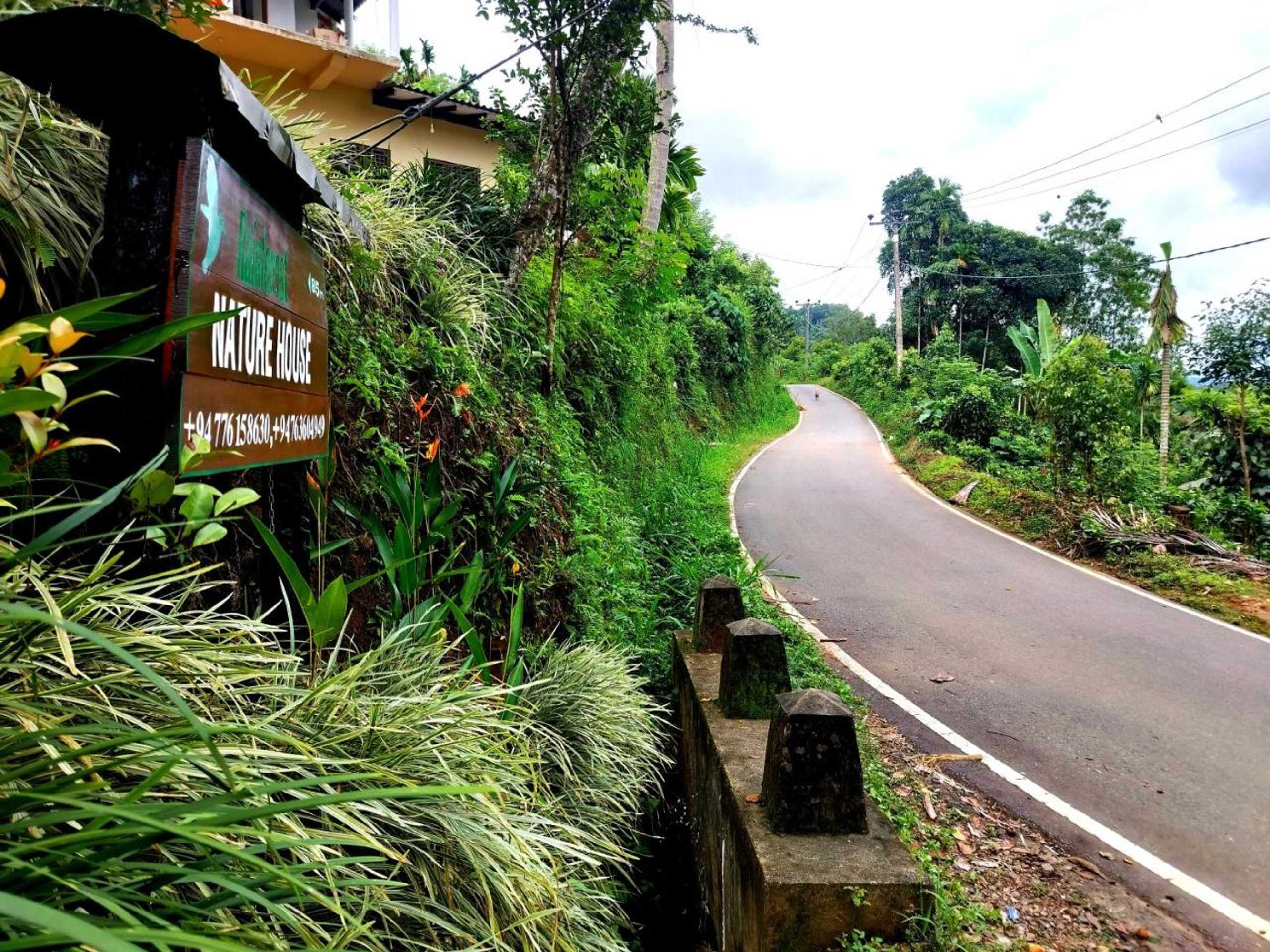 Gift card for Rainforest Nature House