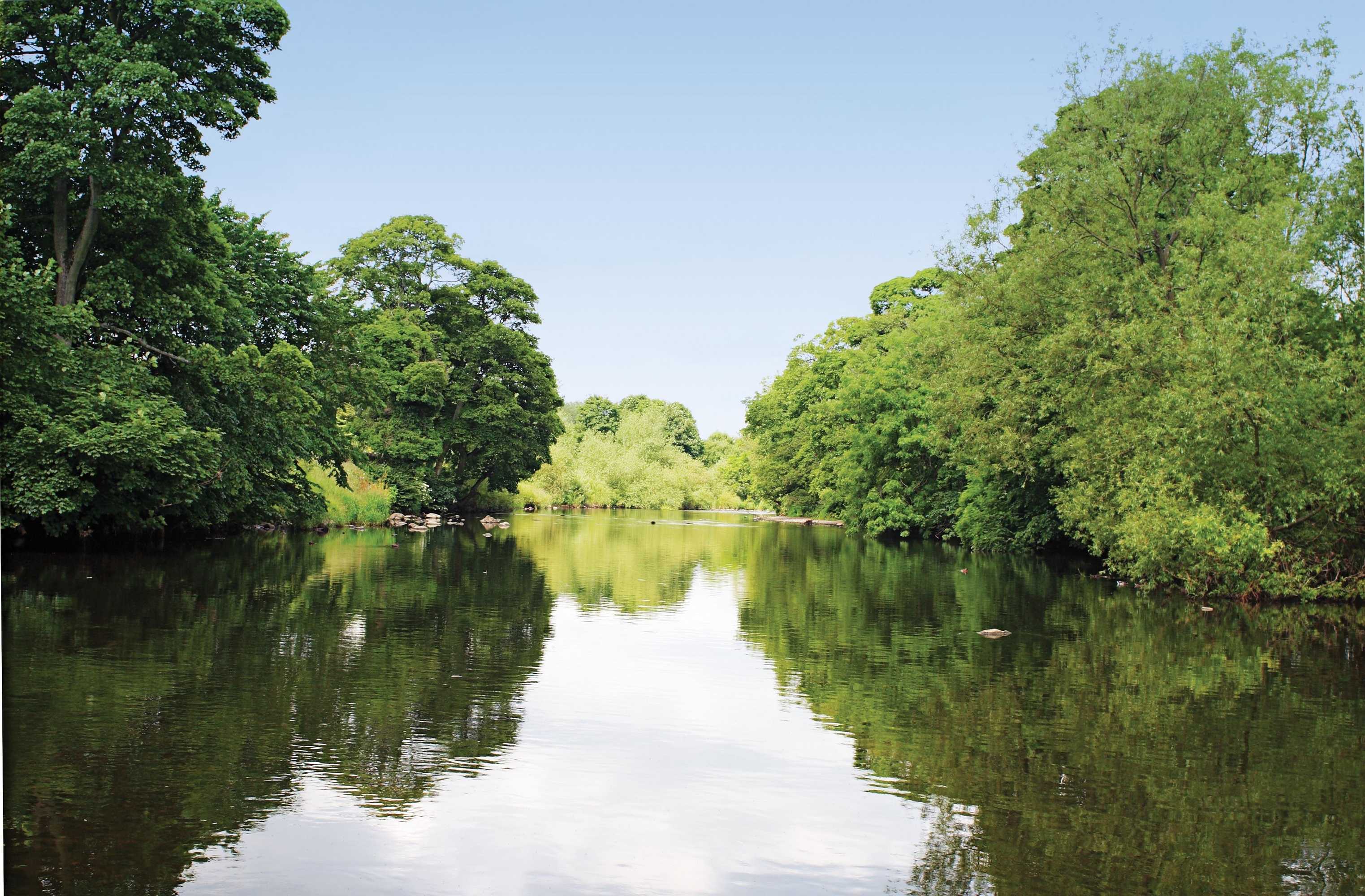 Gift card for The Wheatley Arms