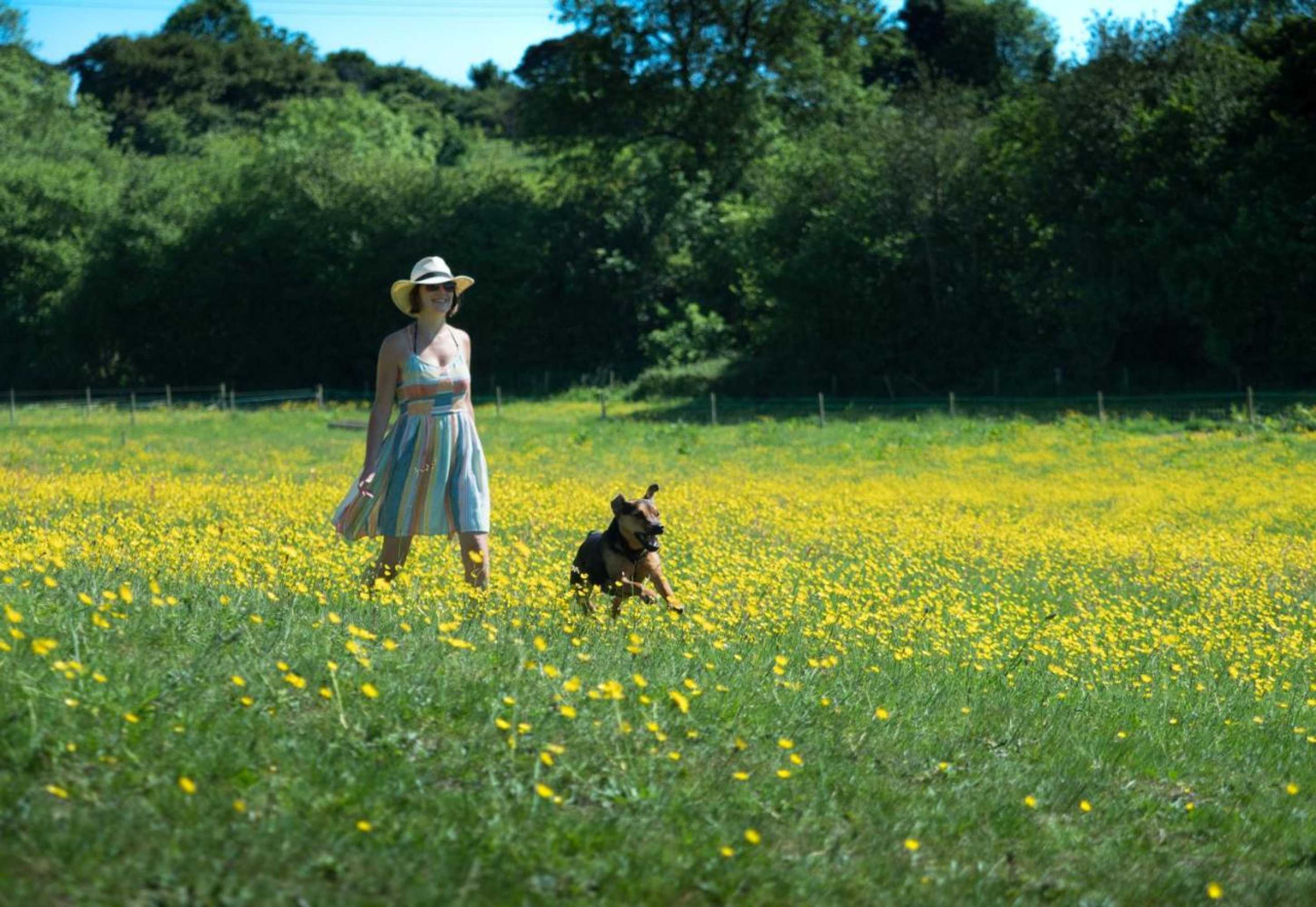 Gift card for Black Pig Retreats Luxury Glamping