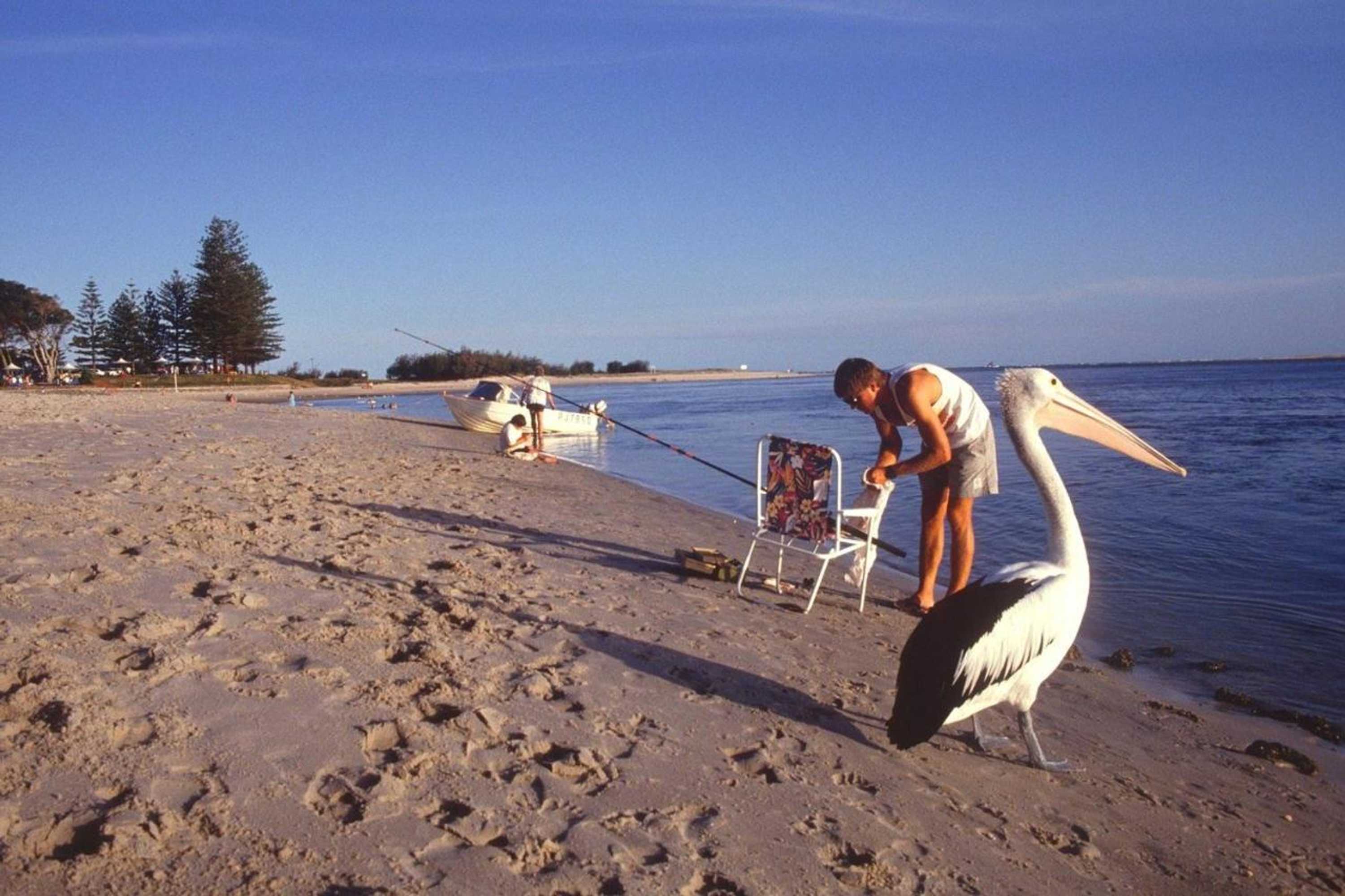 Gift card for Waterview Resort