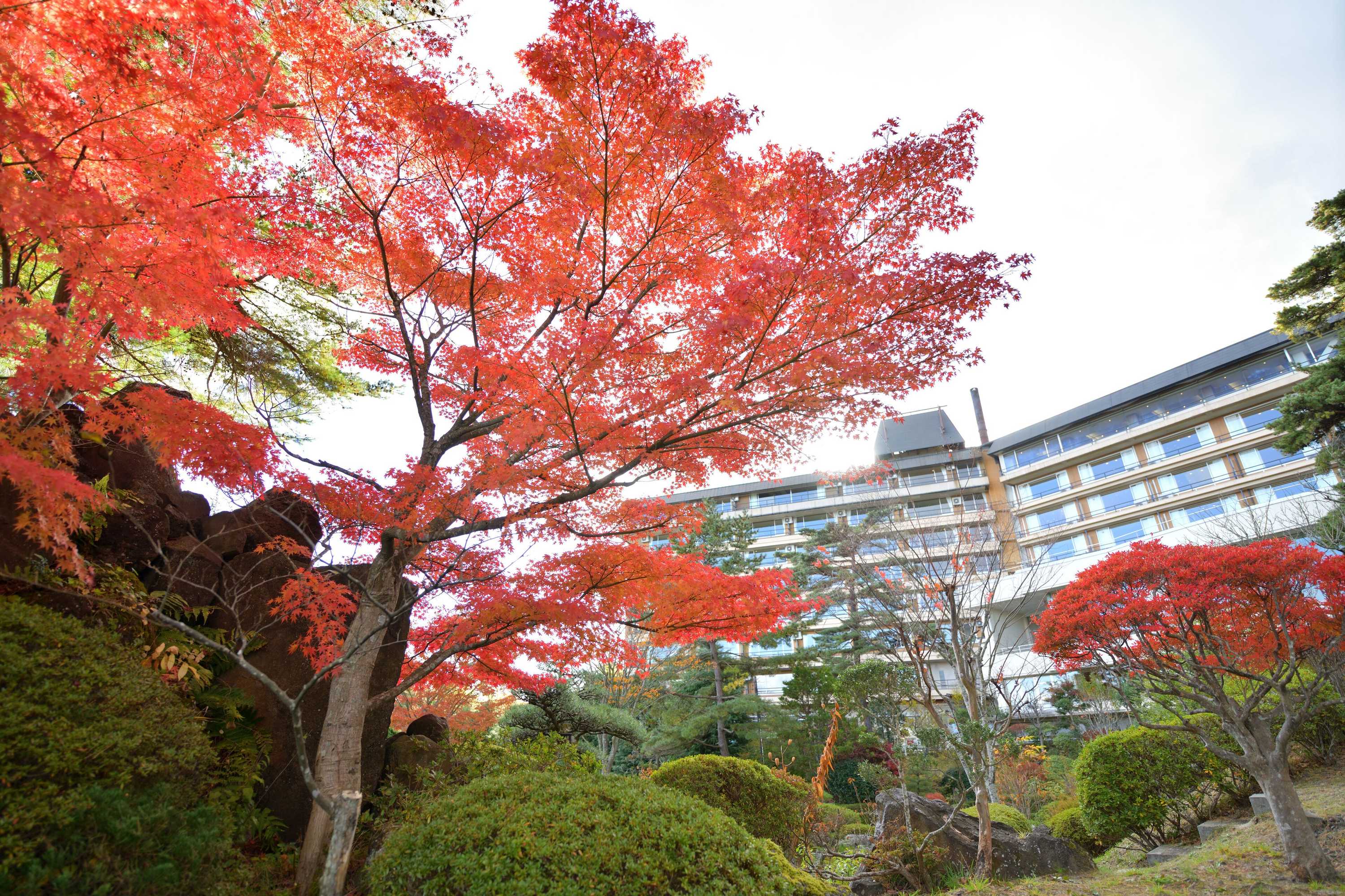 Gift card for Hotel Matsushima Taikanso Gift card for Hotel Matsushima Taikanso