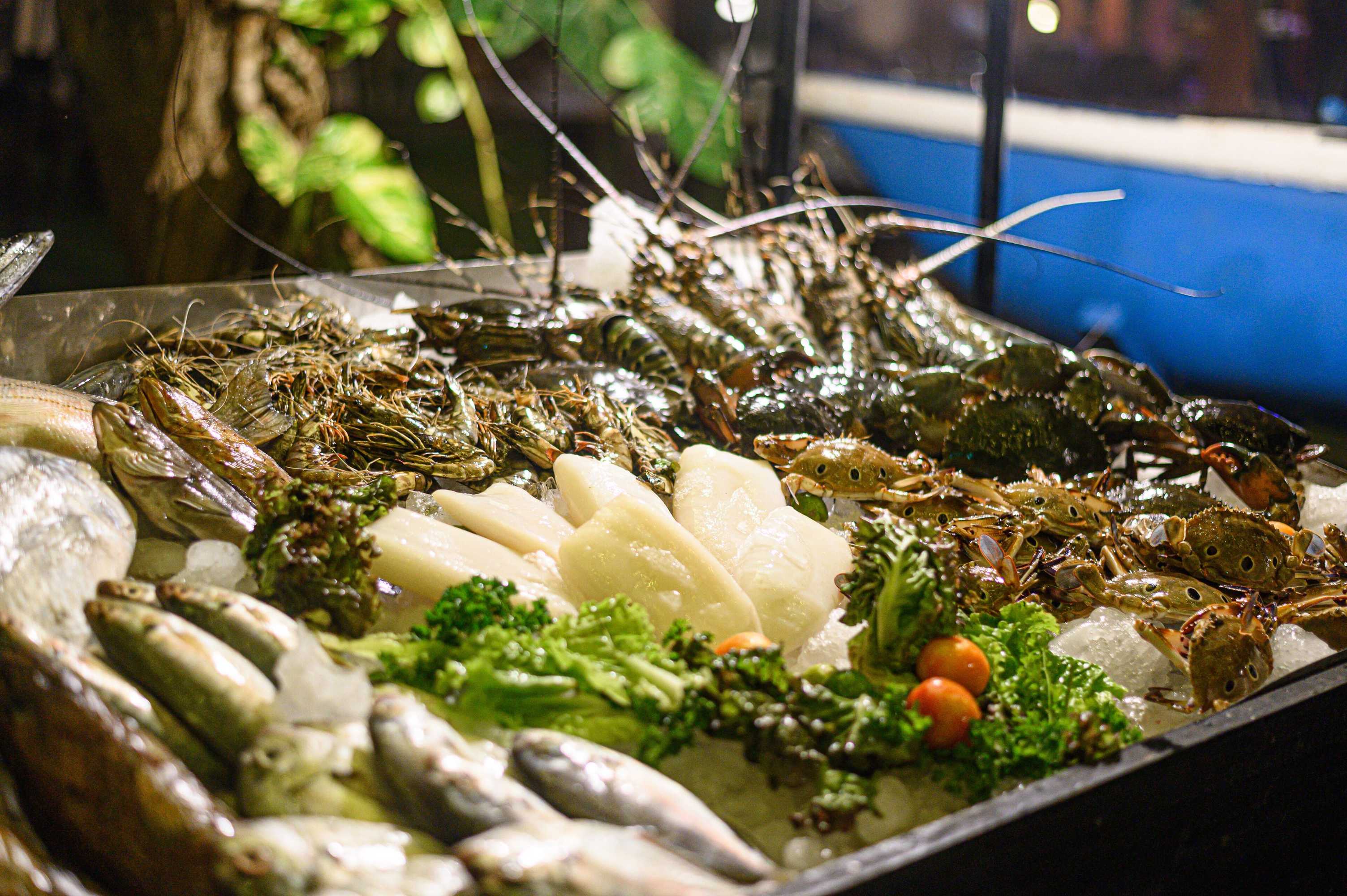 Gift card for Club Palm Bay