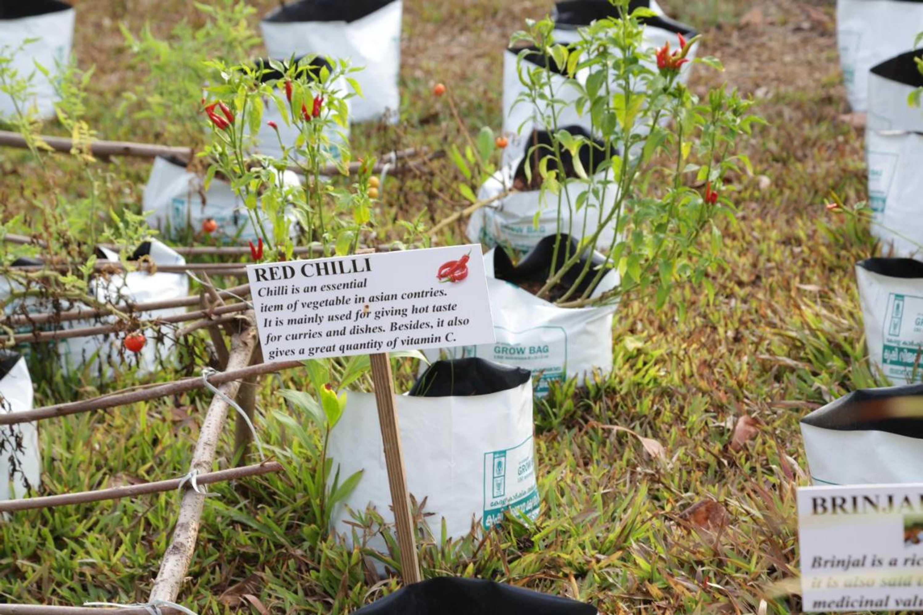 Gift card for Vinis Farm - A Private Island Stay -Privacy Redefined !!!