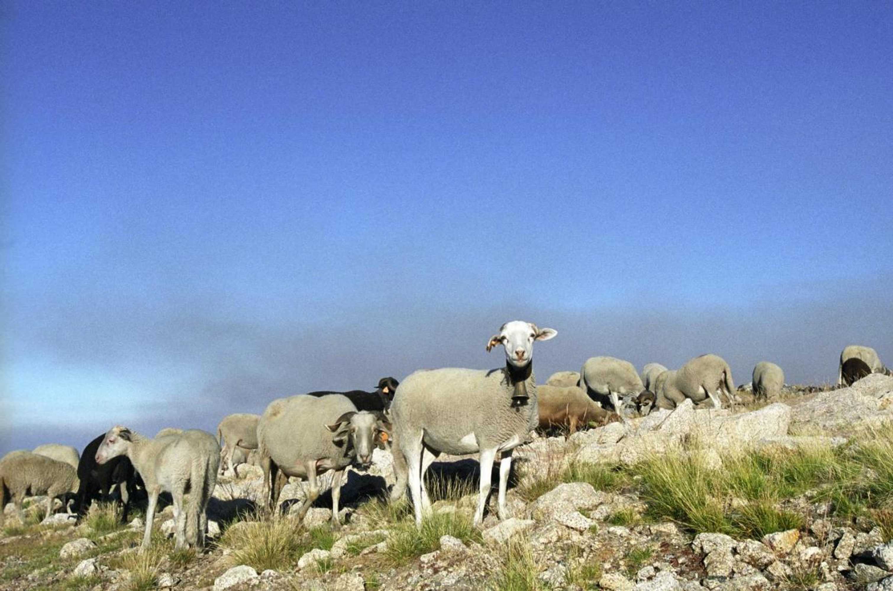 Gift card for Inxisto Lodges