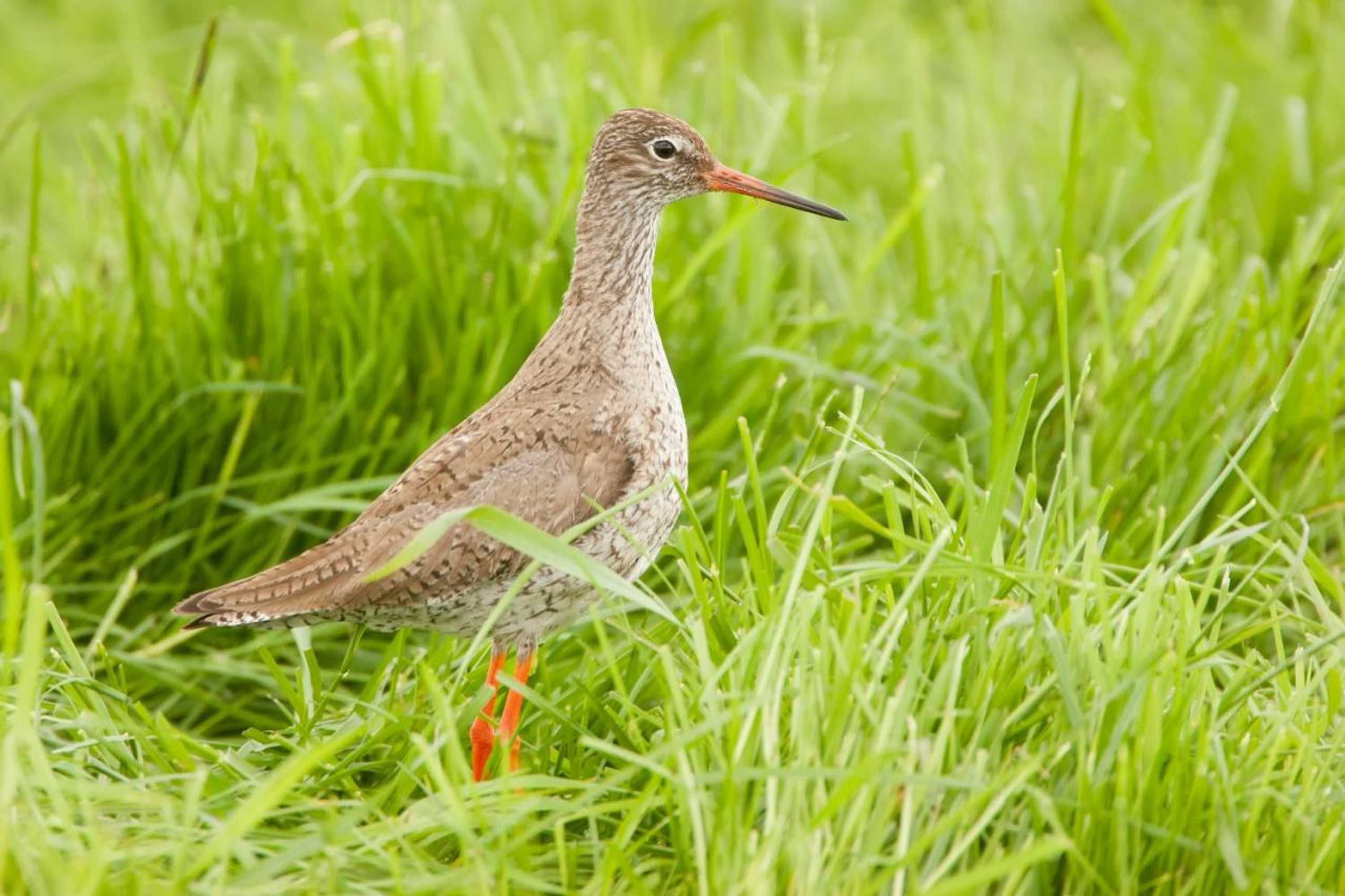 Gift card for Bed And Breakfast Simmerwille