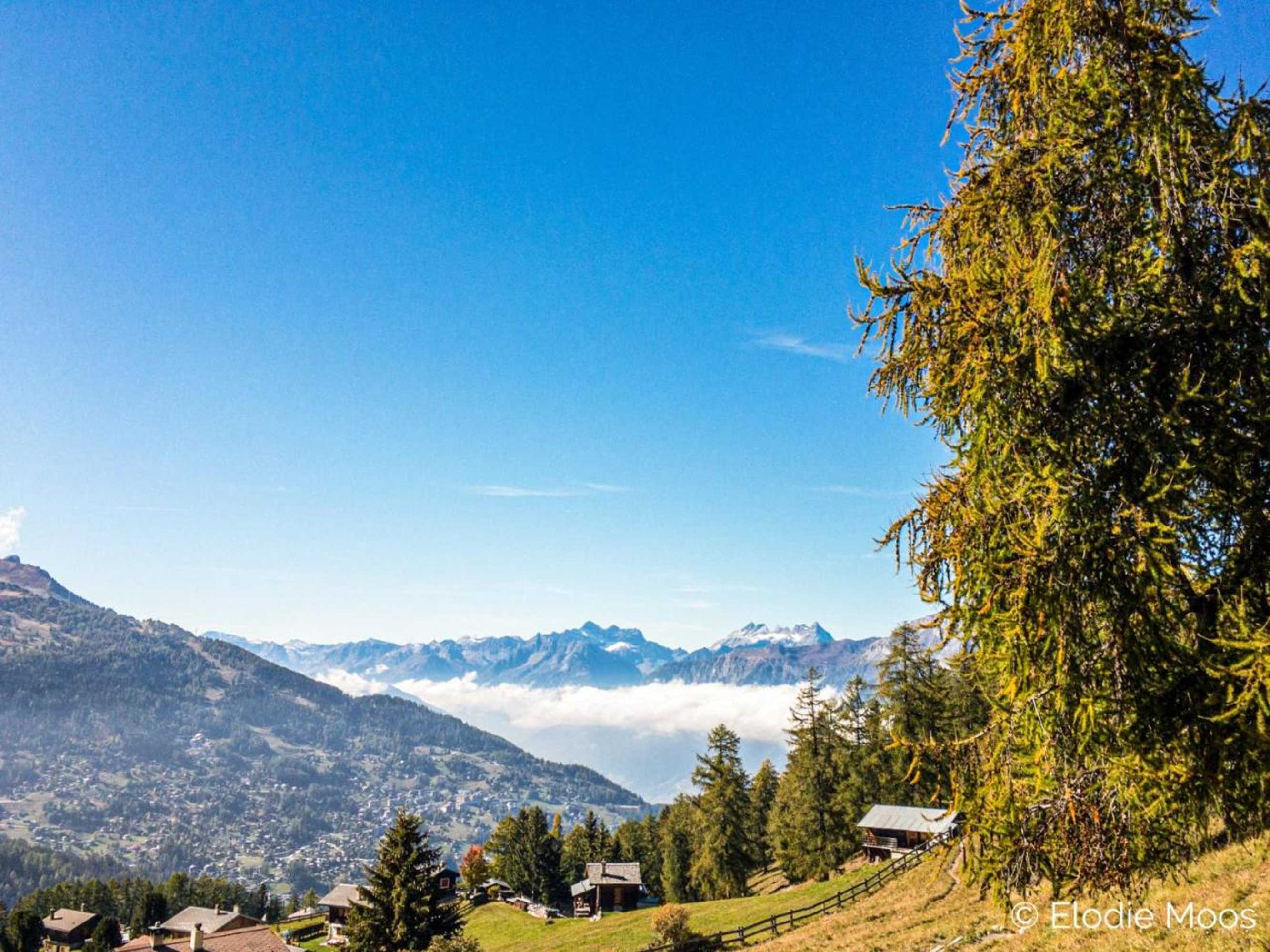 Gift card for Chalet Des Alpes