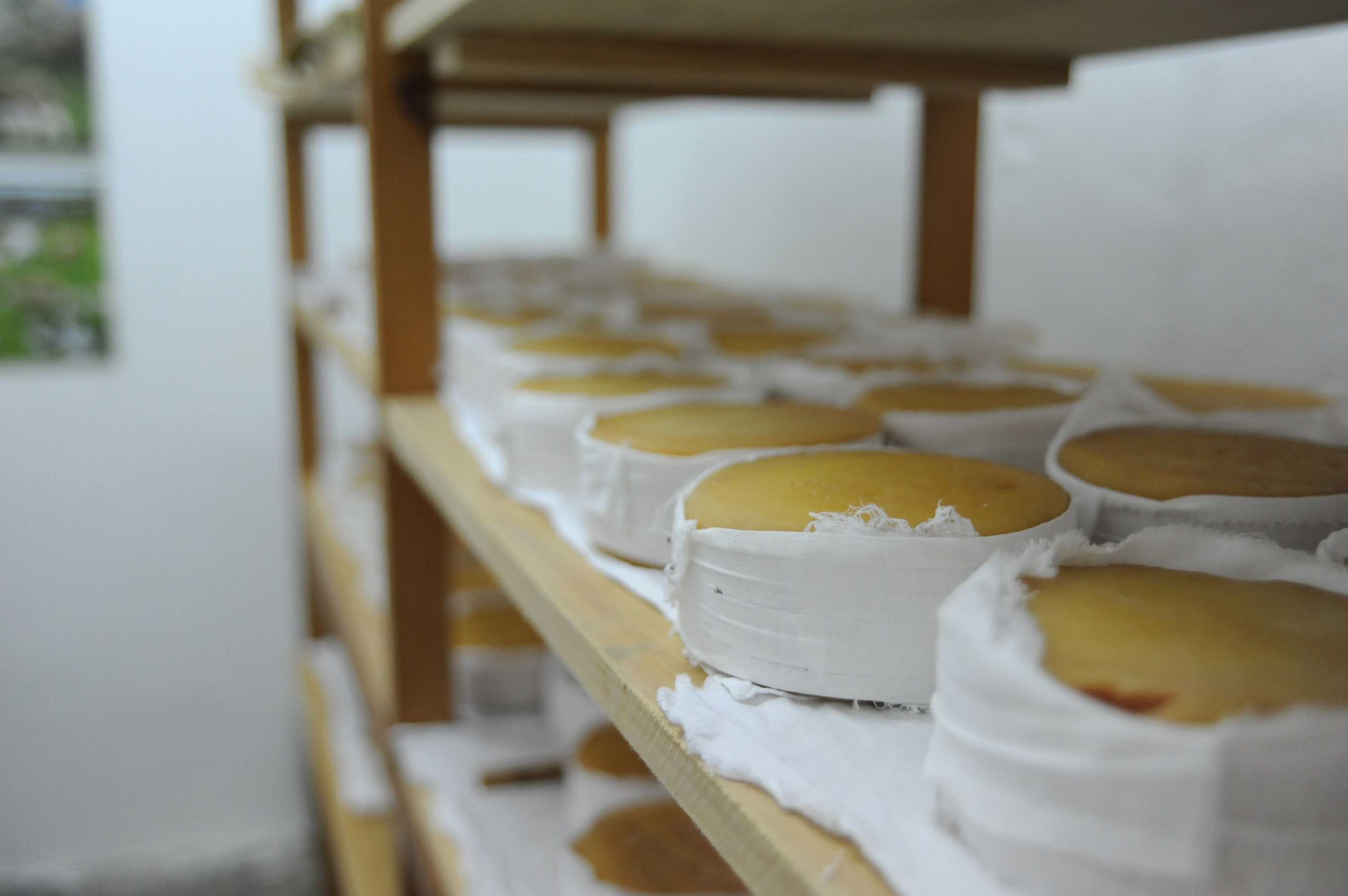 Gift card for Vumba - House of The Lizard