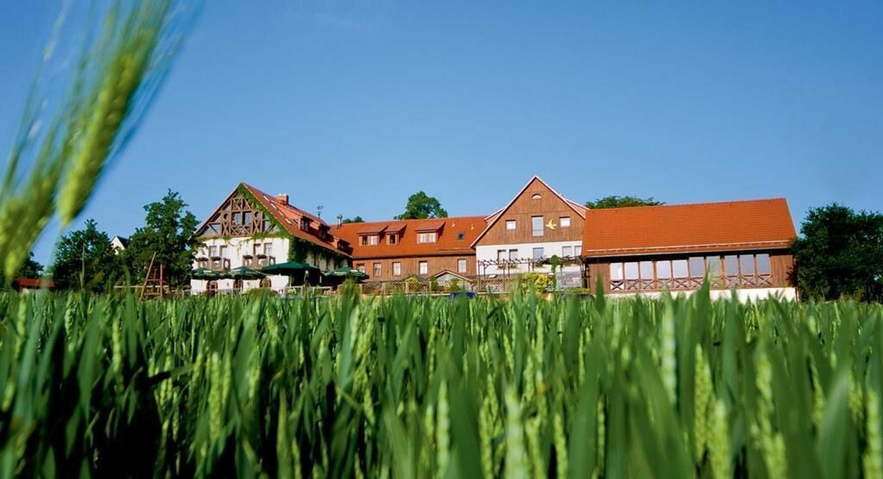 Gift card for Hotel Neue HÖhe Gift card for Hotel Neue HÖhe