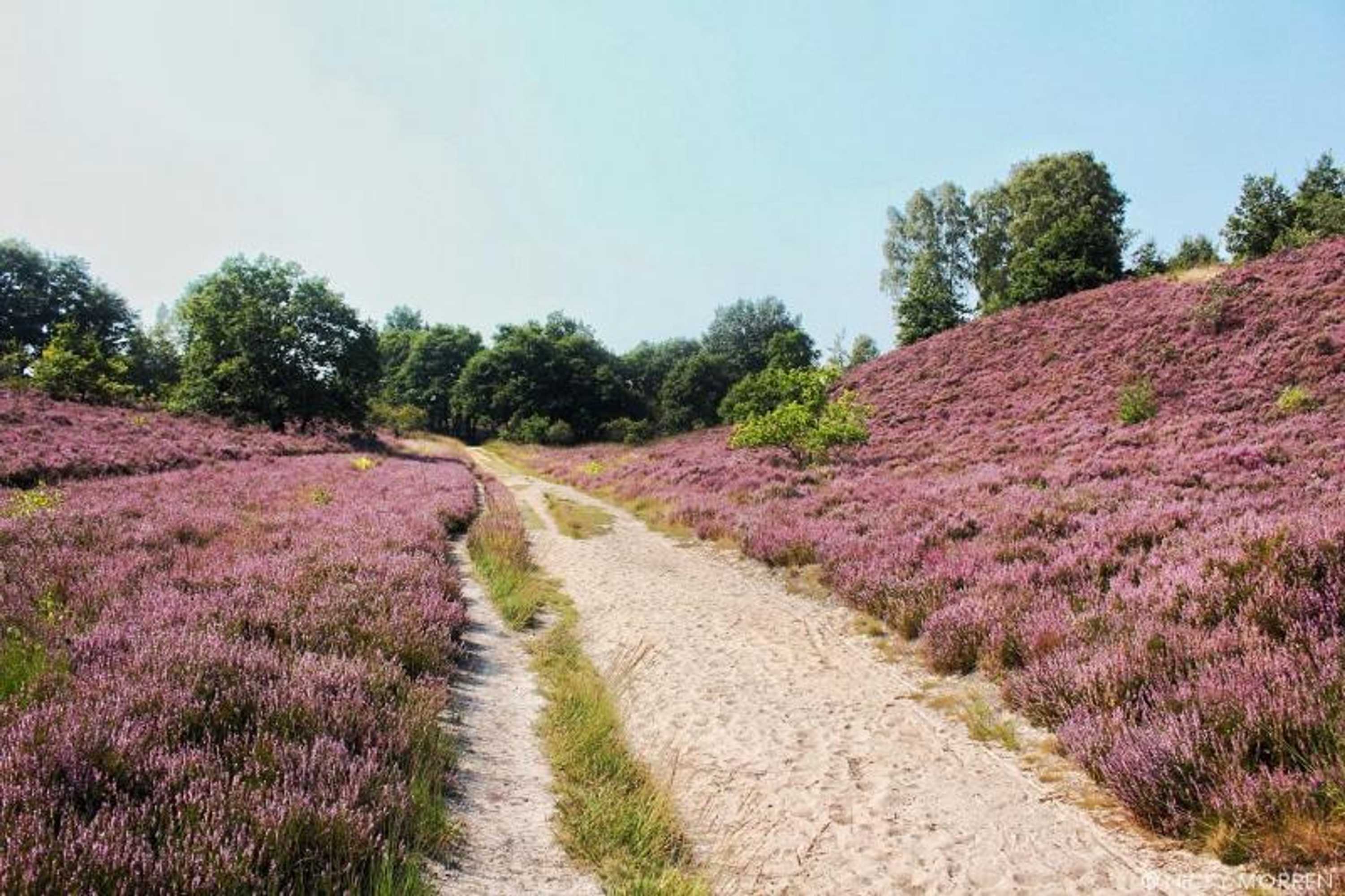 Gift card for Hotel De Maretak