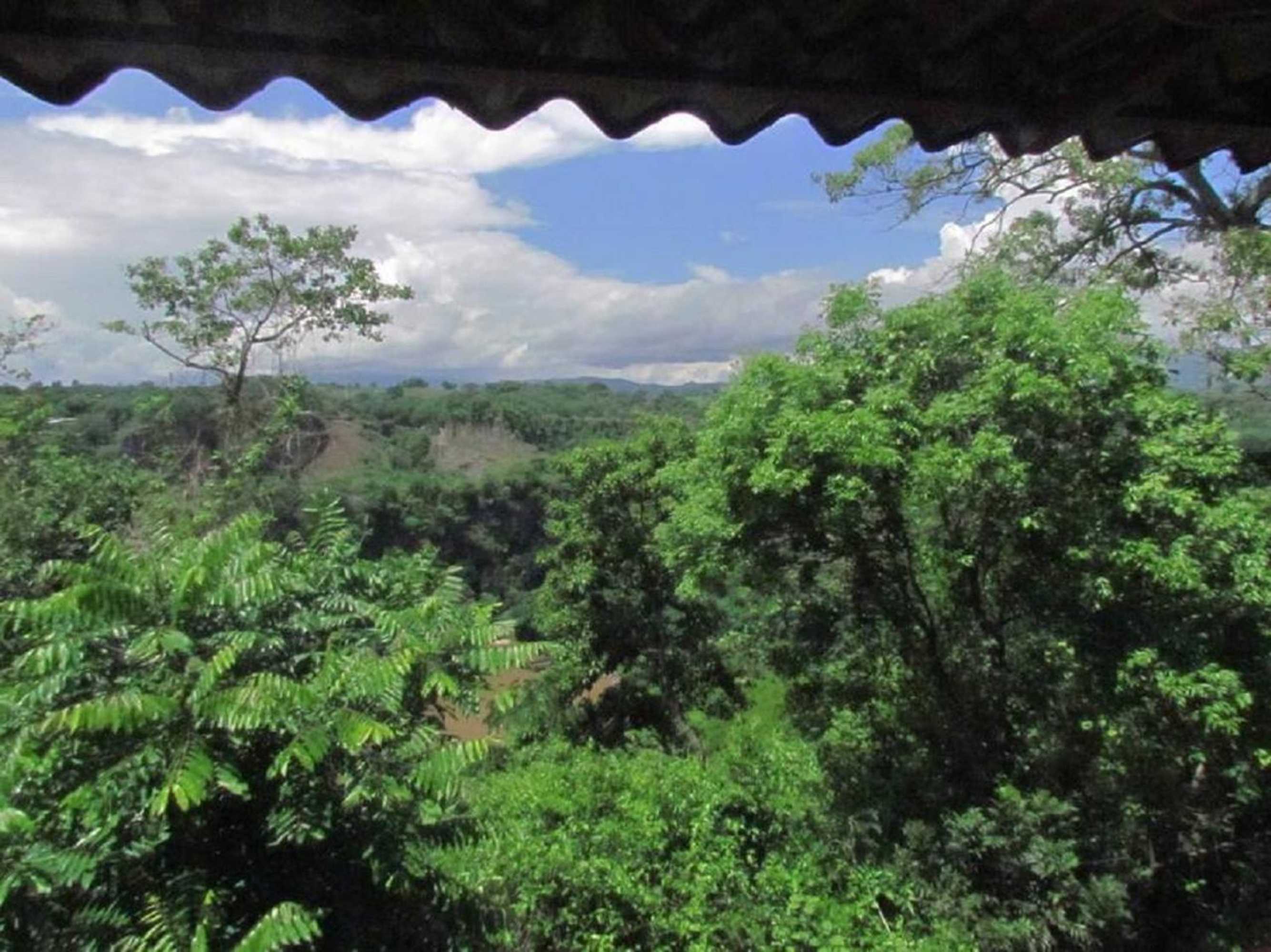 Gift card for The House of Hummingbird