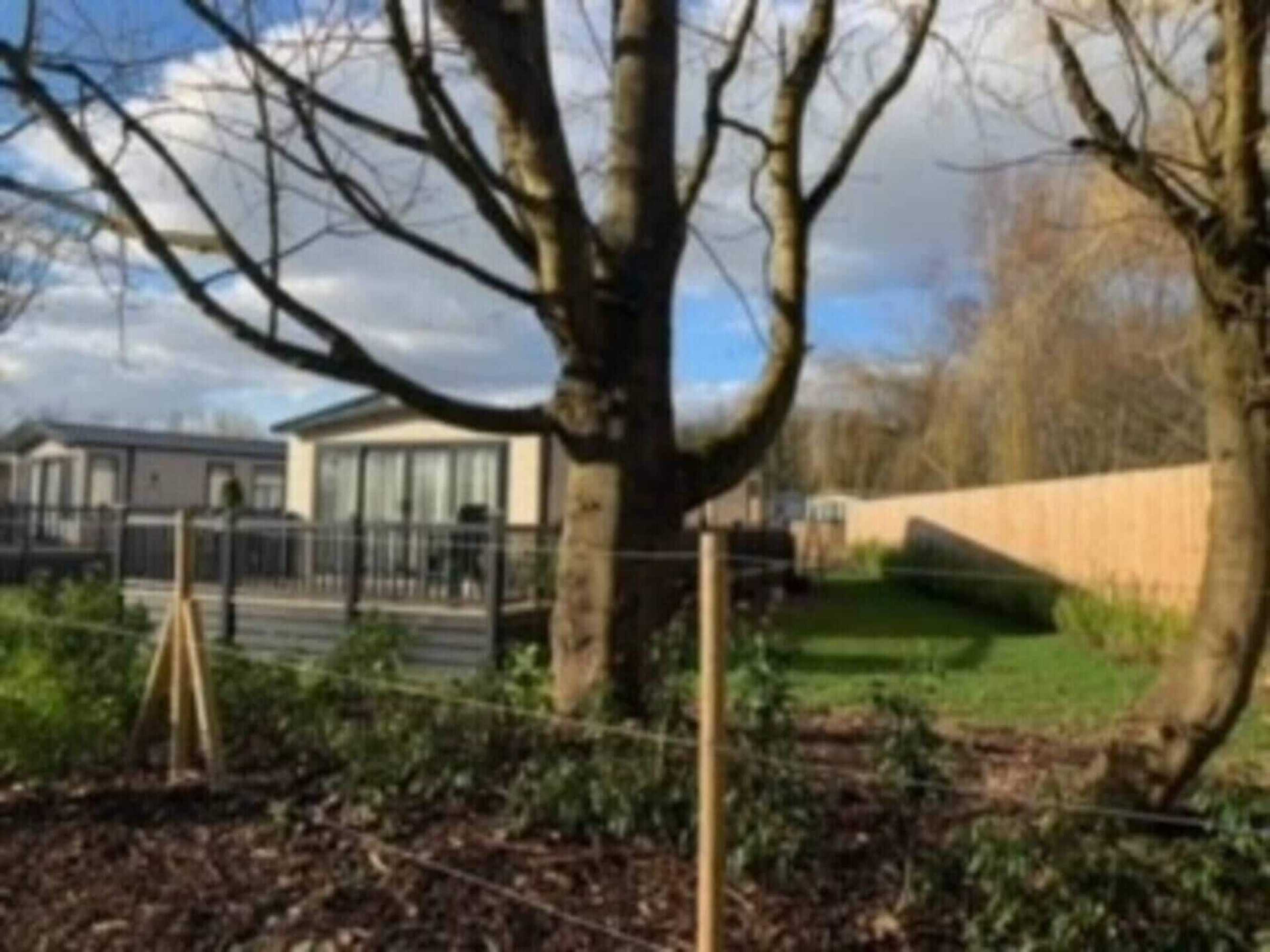 Gift card for Captivating Bluebell Lodge 2-Bed Cotswolds Caravan Gift card for Captivating Bluebell Lodge 2-Bed Cotswolds Caravan