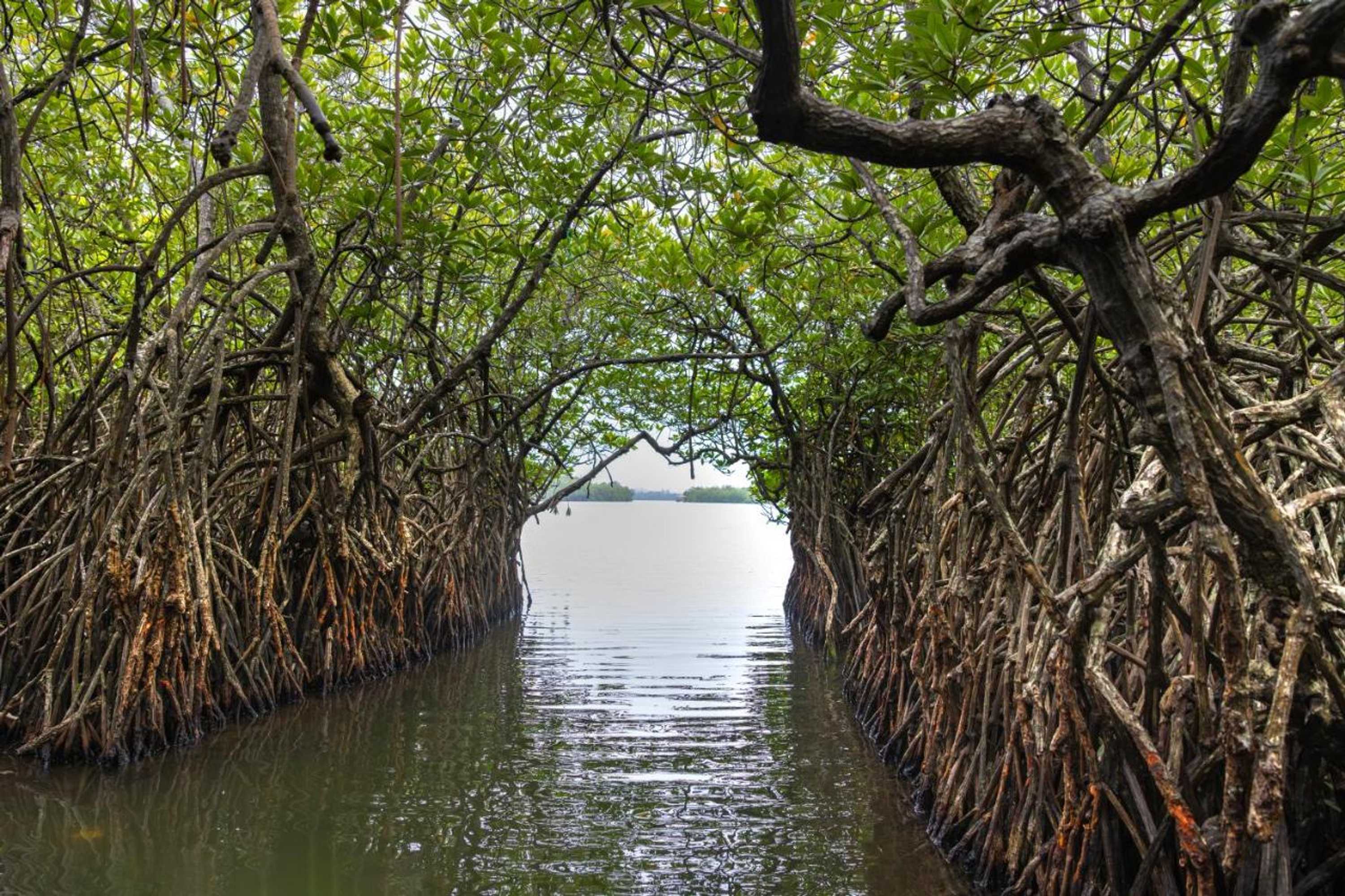 Gift card for River Loft Nature Resort