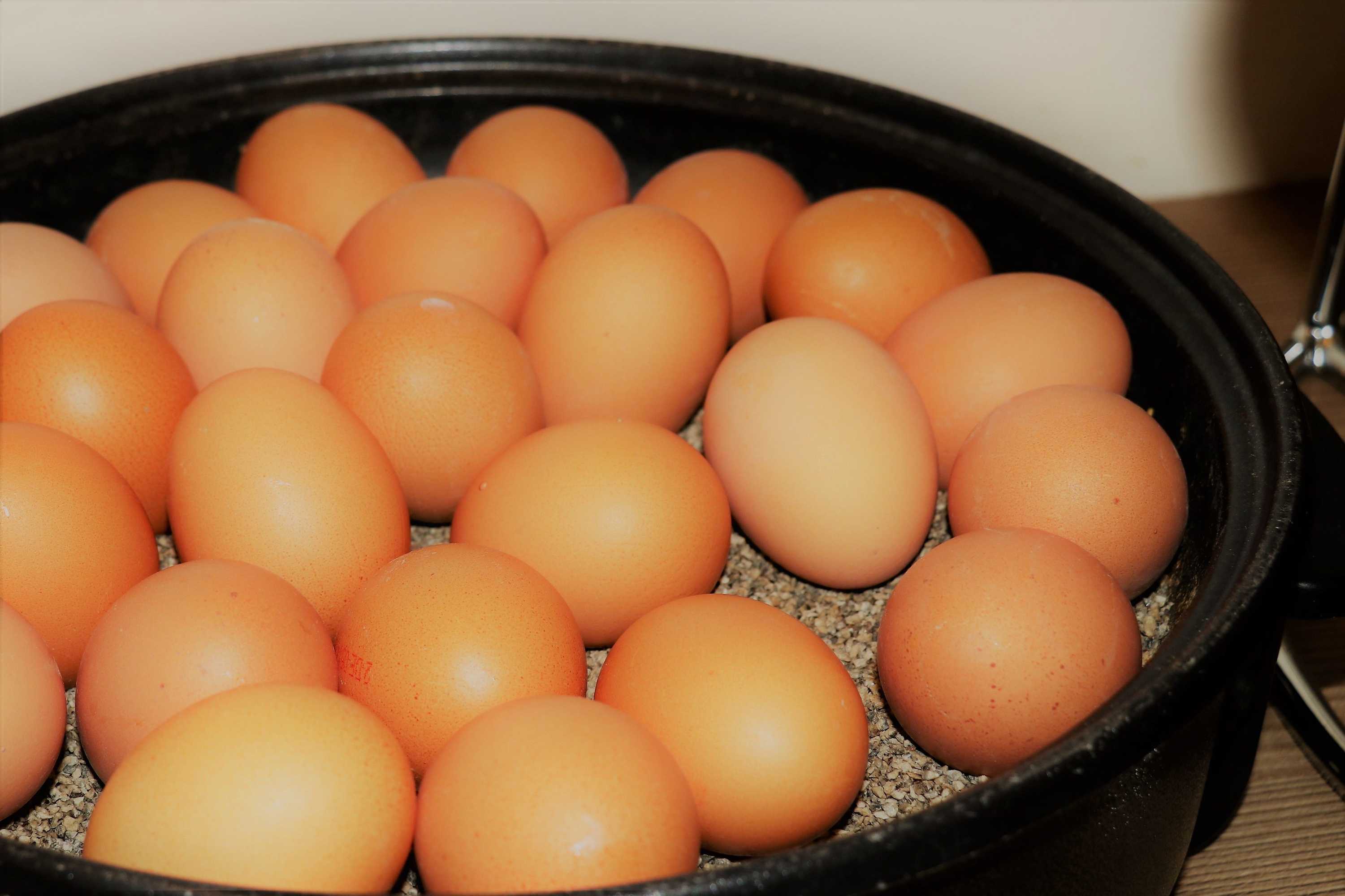 Gift card for Hotel Offenbacher Hof