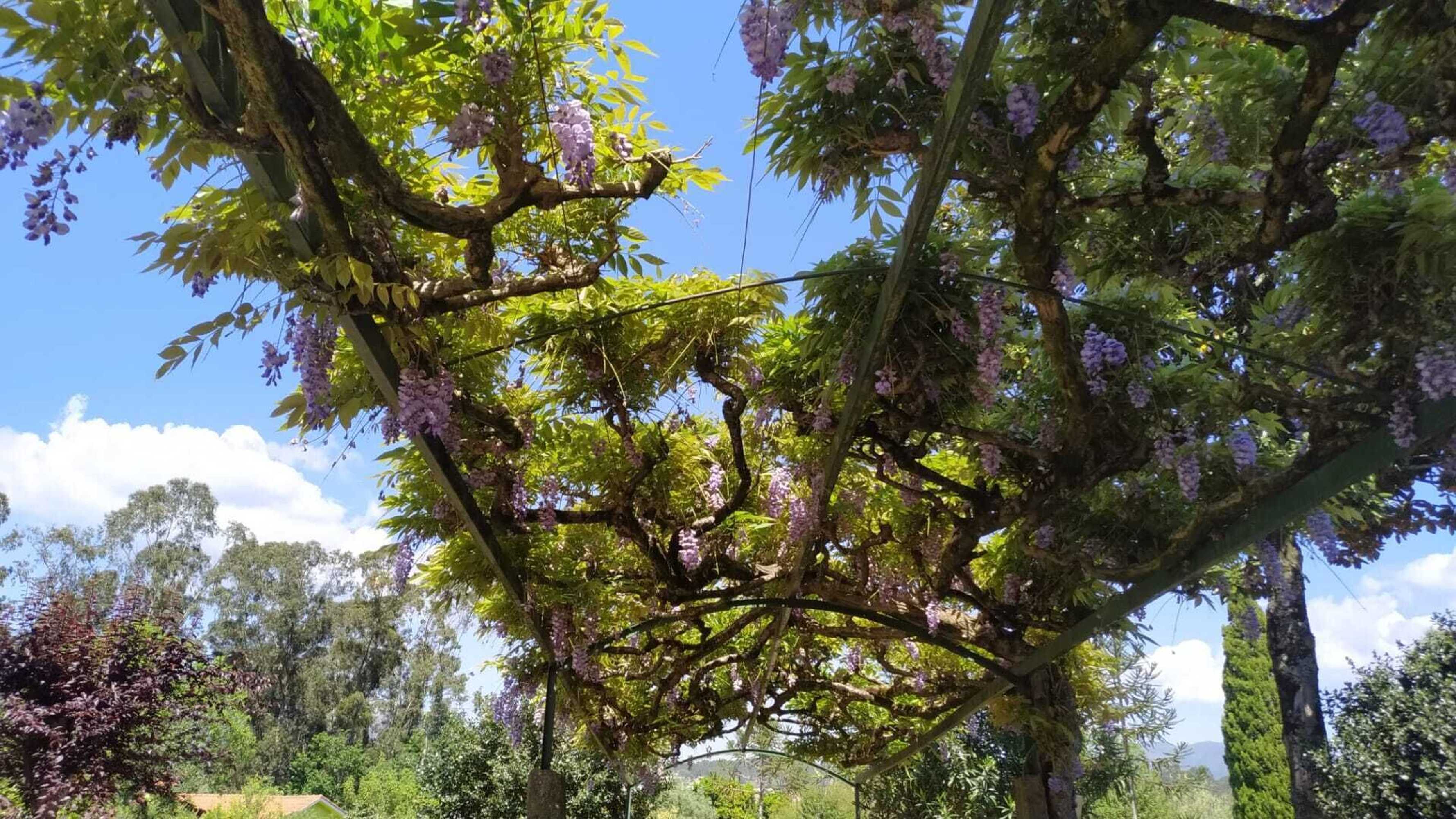 Gift card for Hotel Rural Solar Das Arcadas