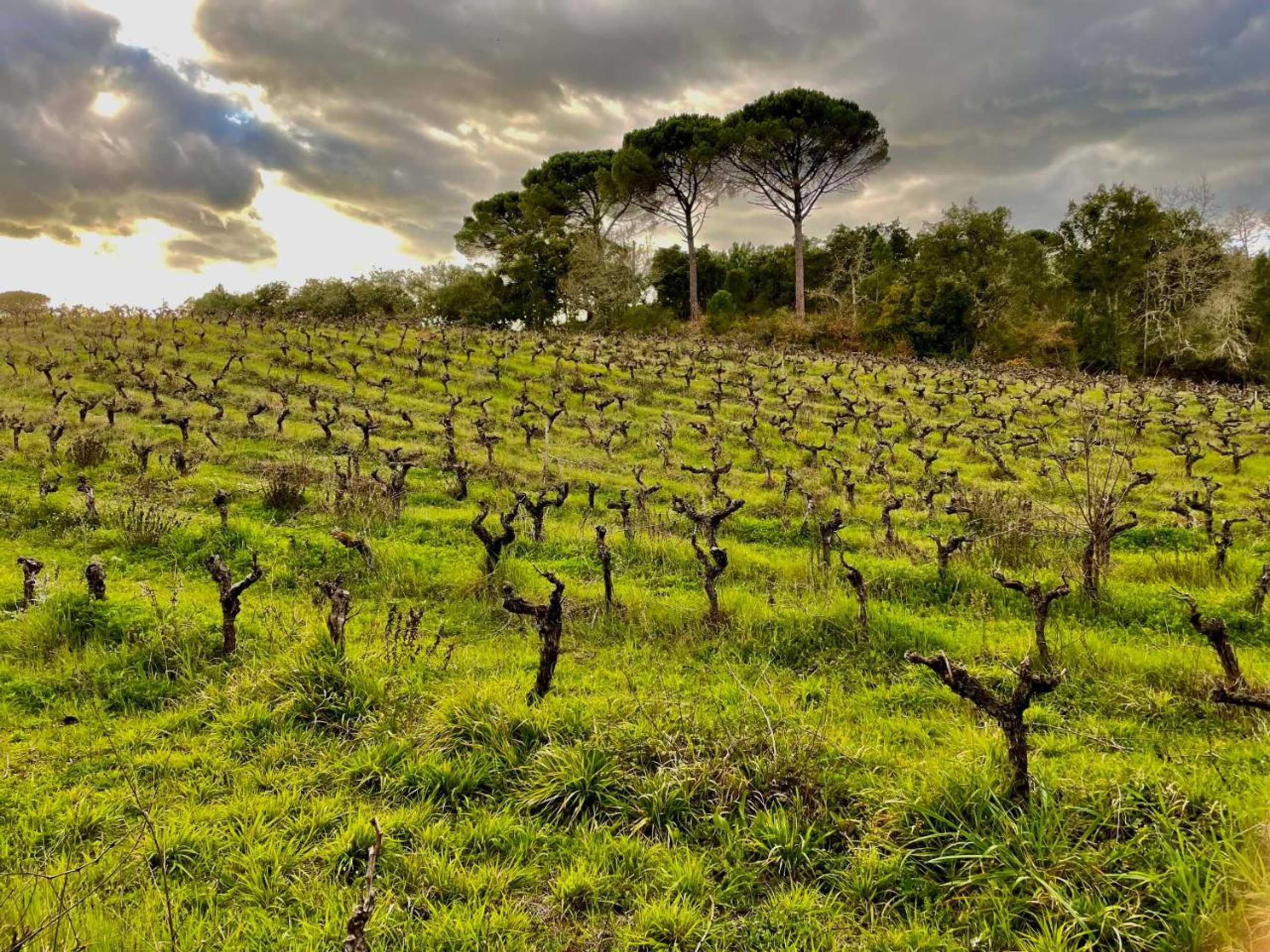 Gift card for Casa da Anunciada, Countryside Retreat