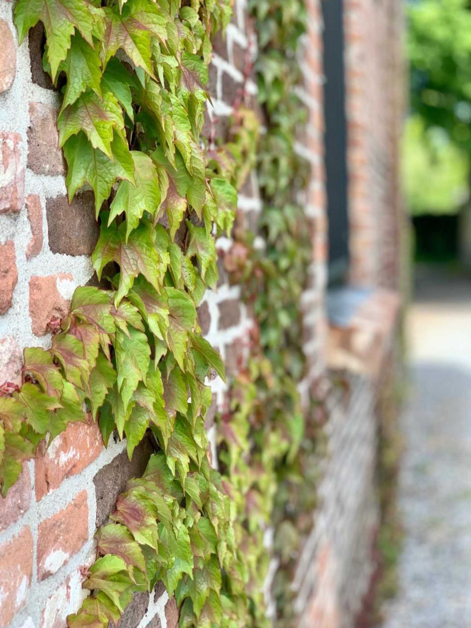 Gift card for Bed & Breakfast Karakter