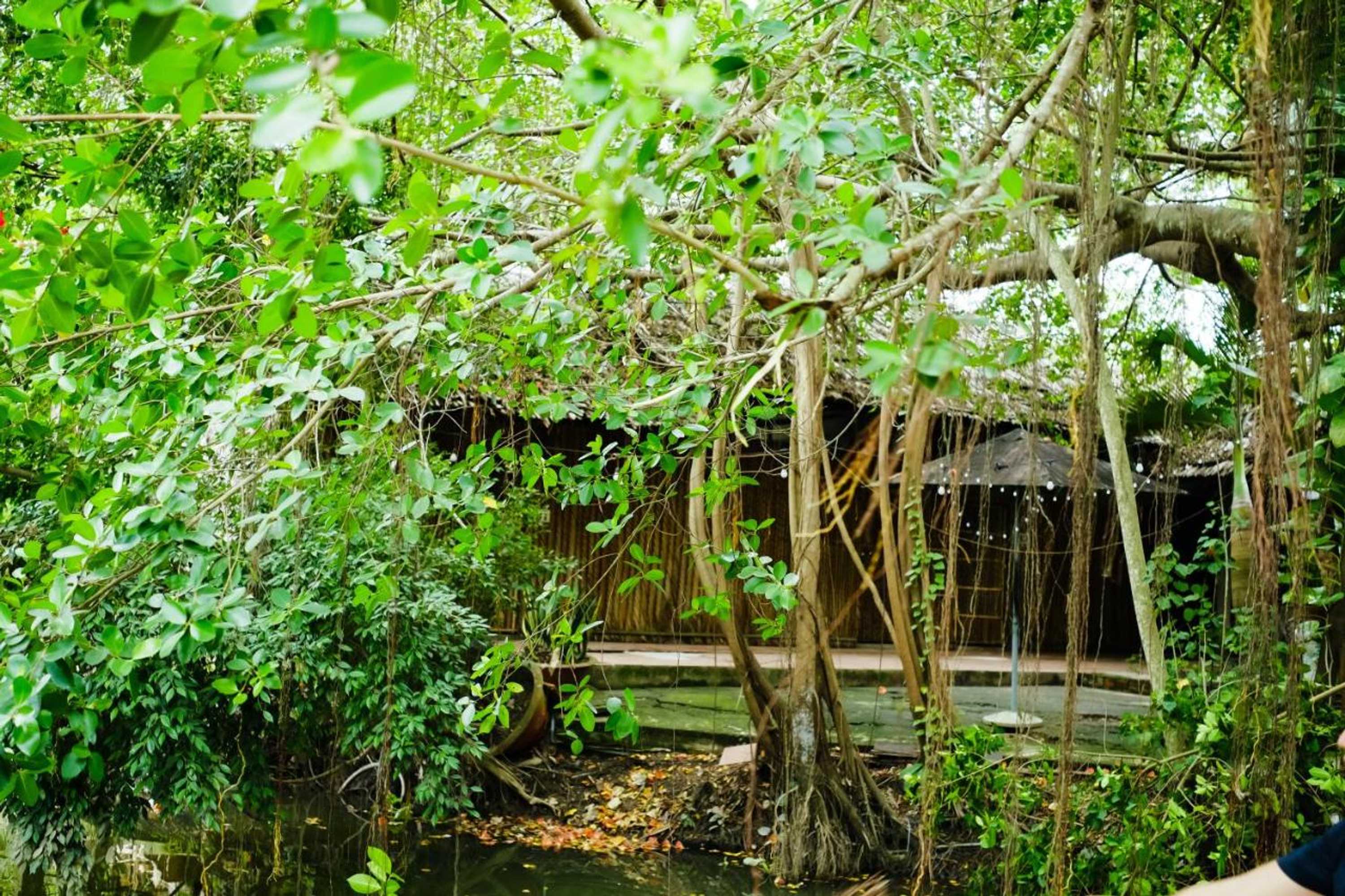 Gift card for Dan Sinh Homestay