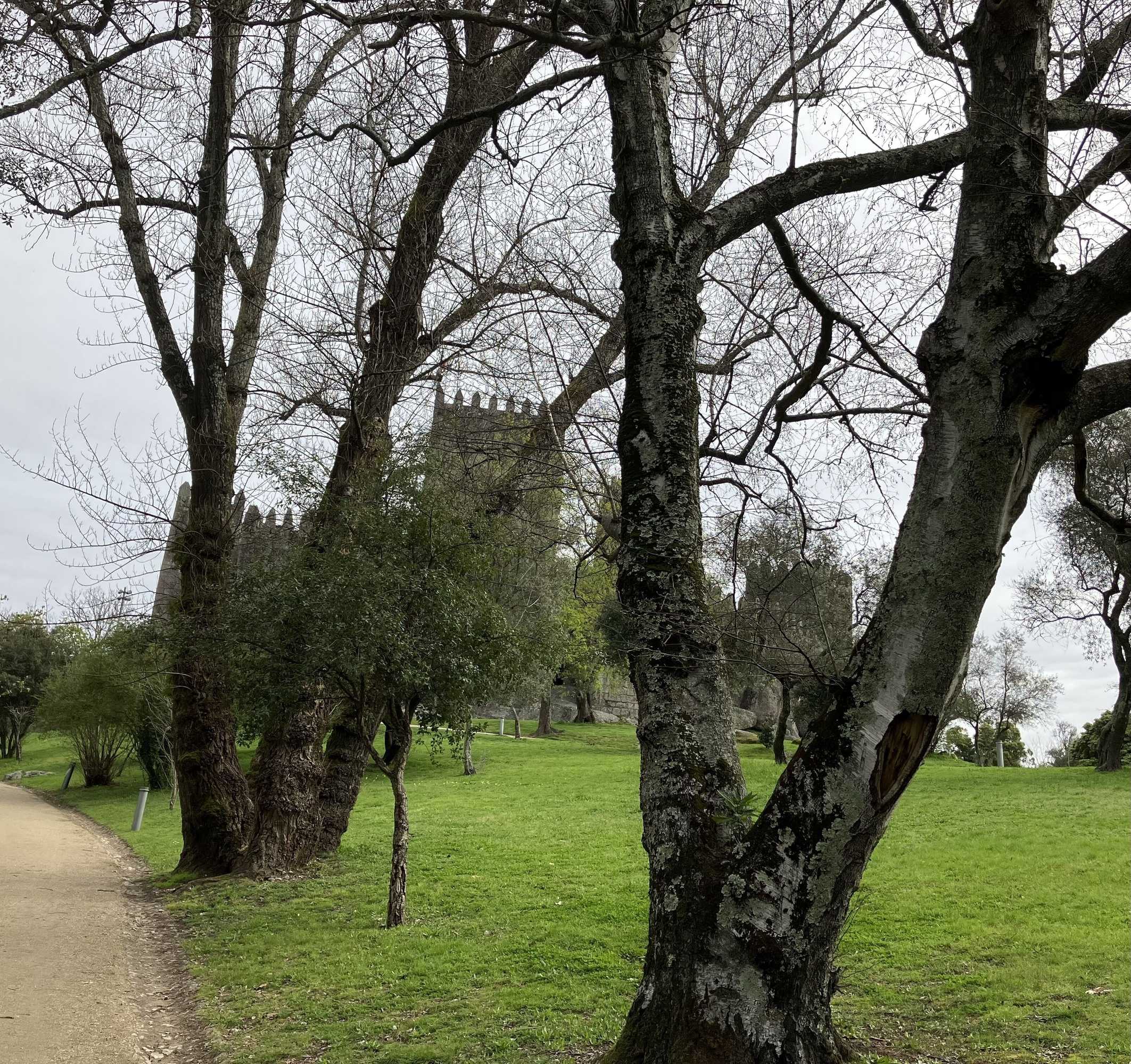 Gift card for Bergui Guest House