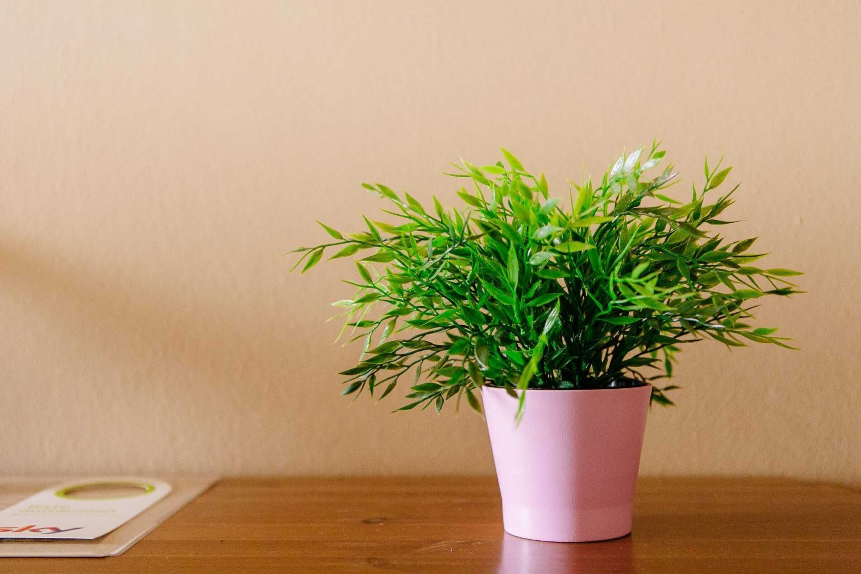 Gift card for Landhotel Airport-Inn