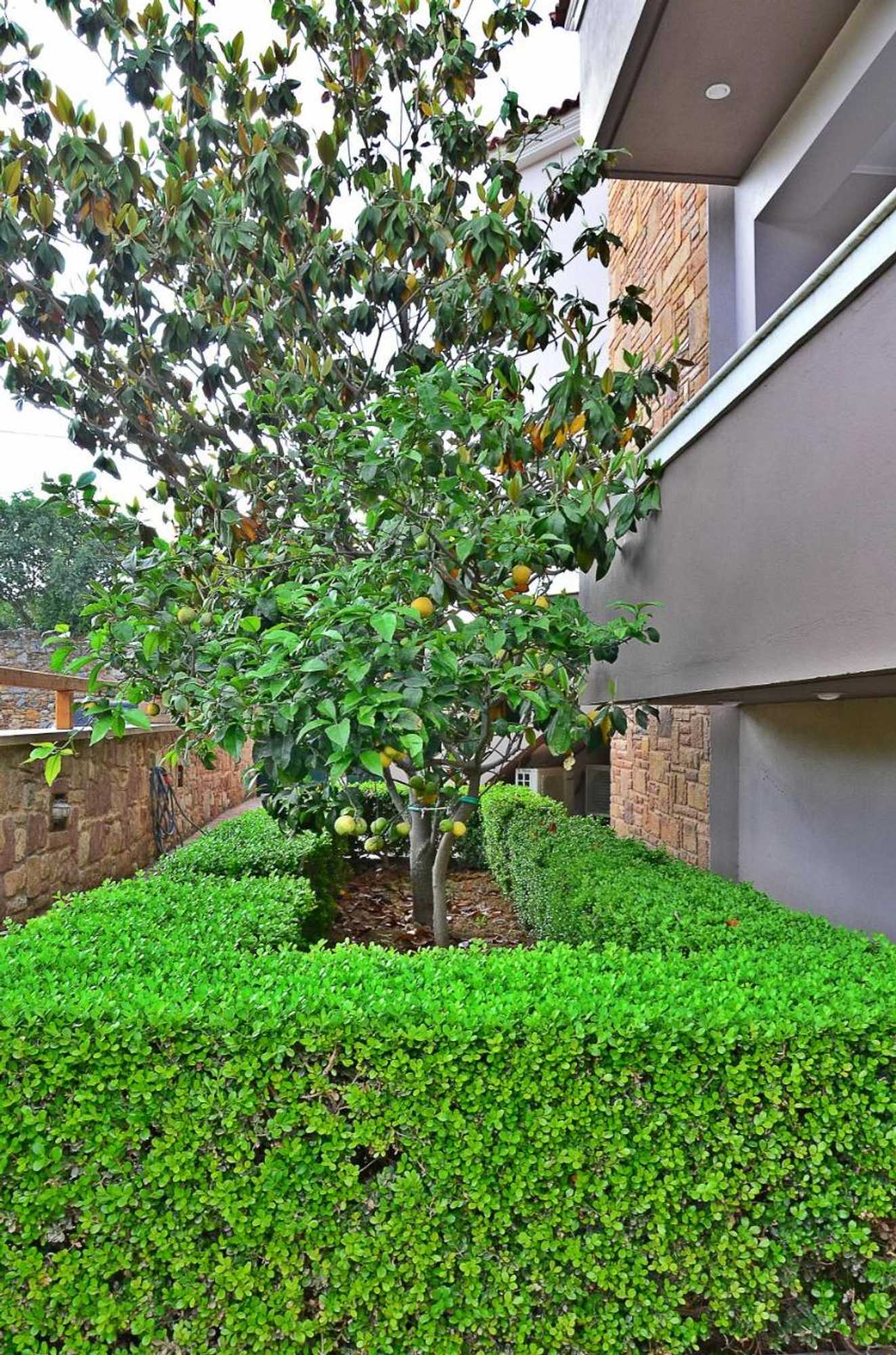 Gift card for Mastiha Villas in Town