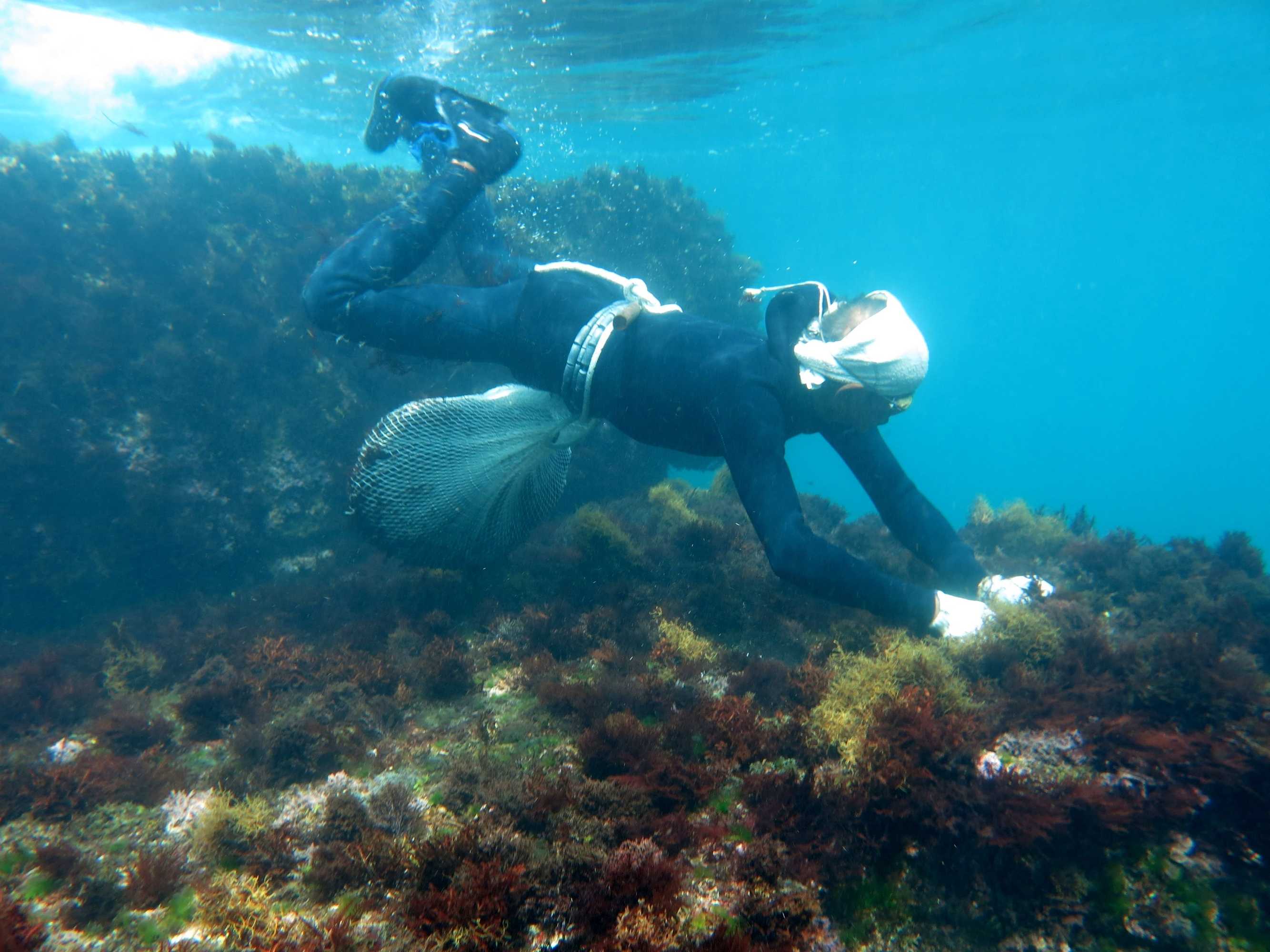 Gift card for Hai Xia Your Home