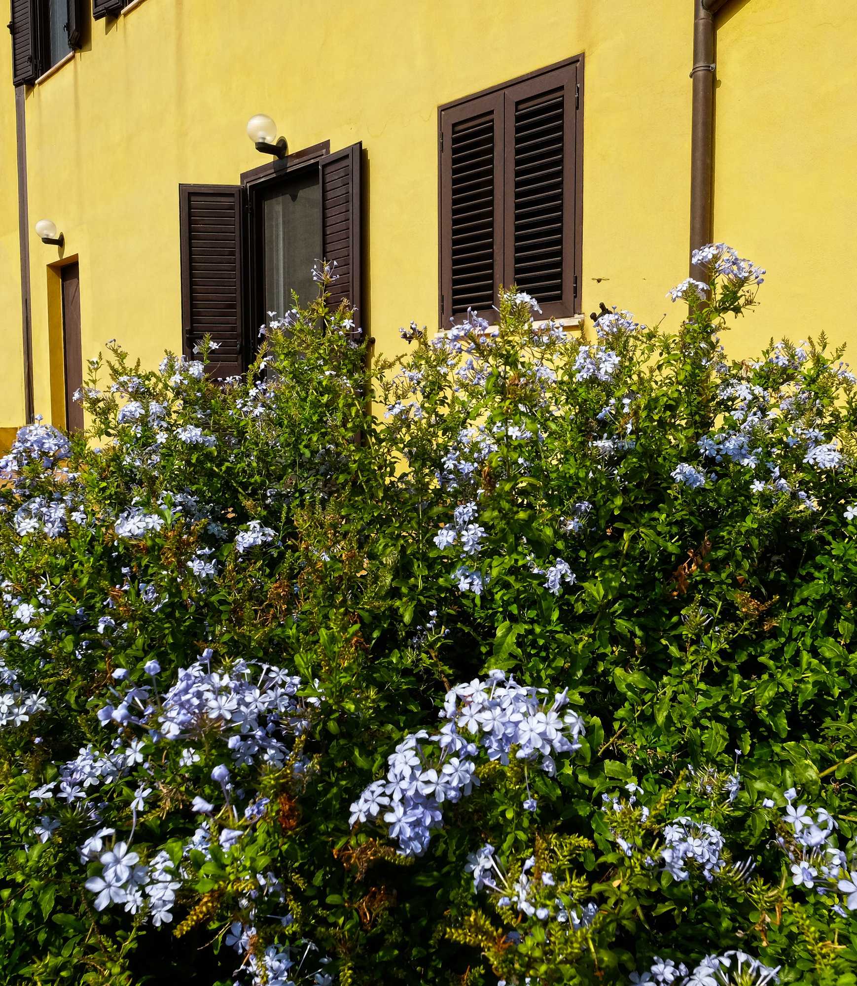 Gift card for Vistazzurra B&b Gift card for Vistazzurra B&b