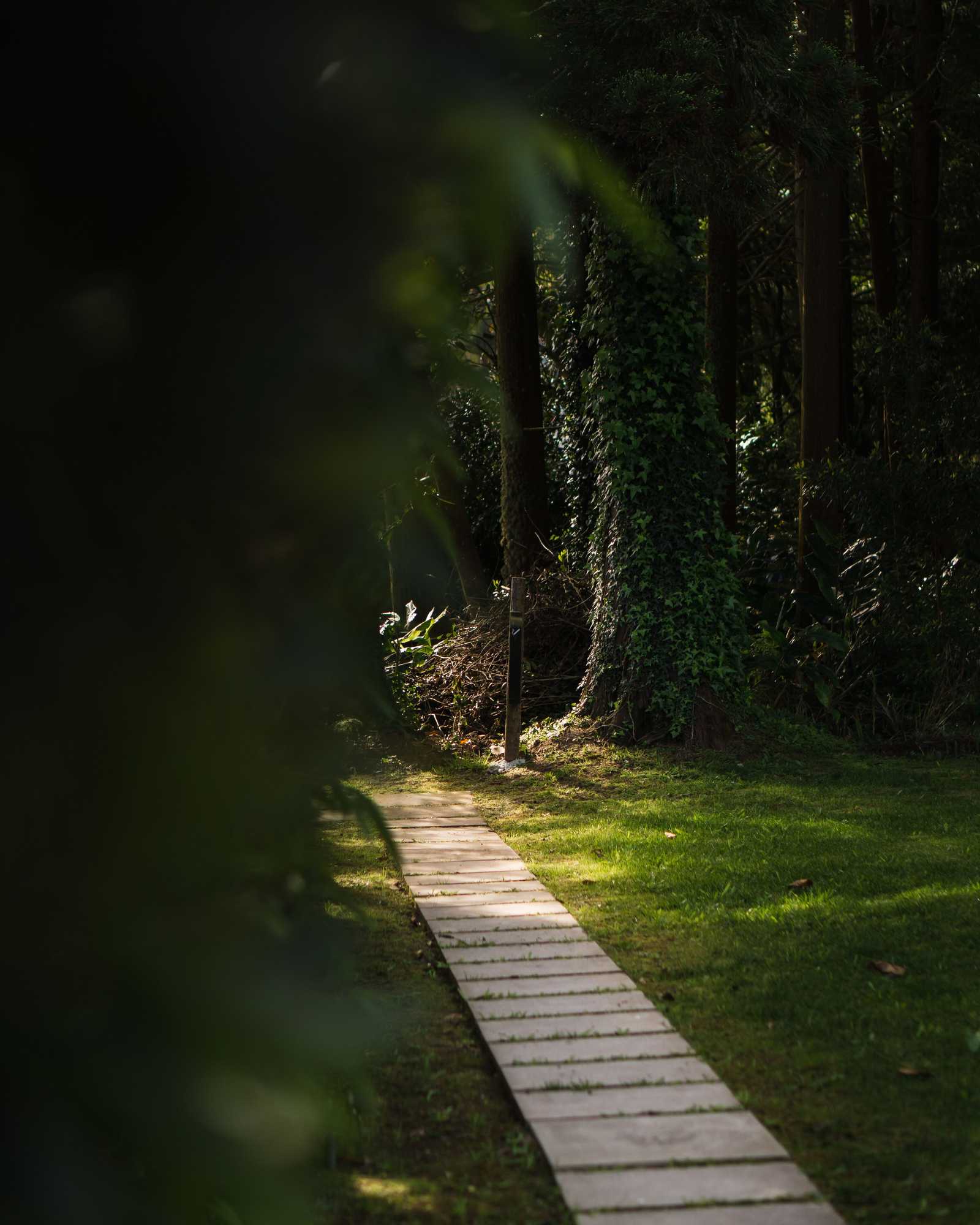 Gift card for Landescape Furnas Gift card for Landescape Furnas