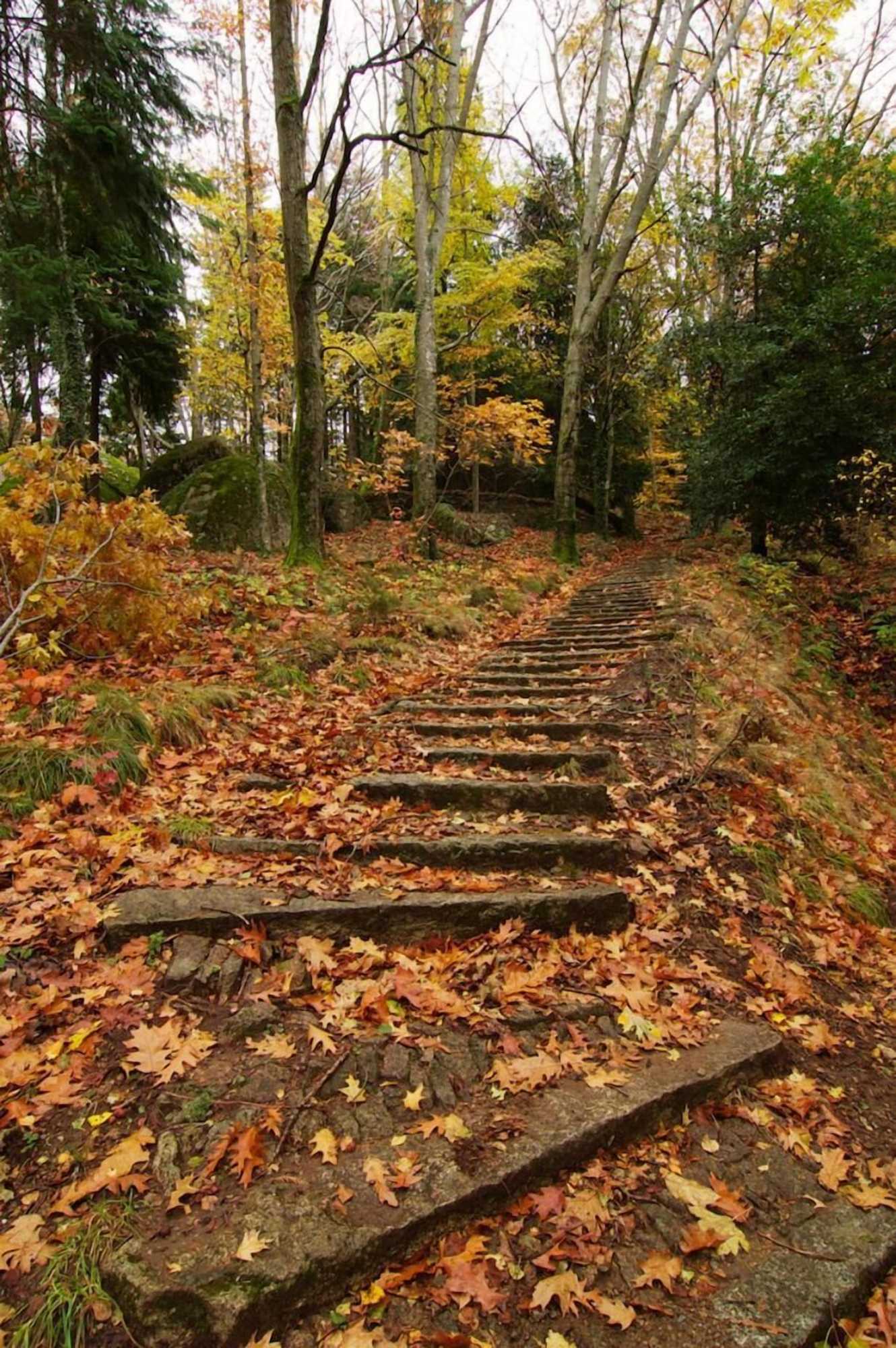 Gift card for Hotel Rural da Freita