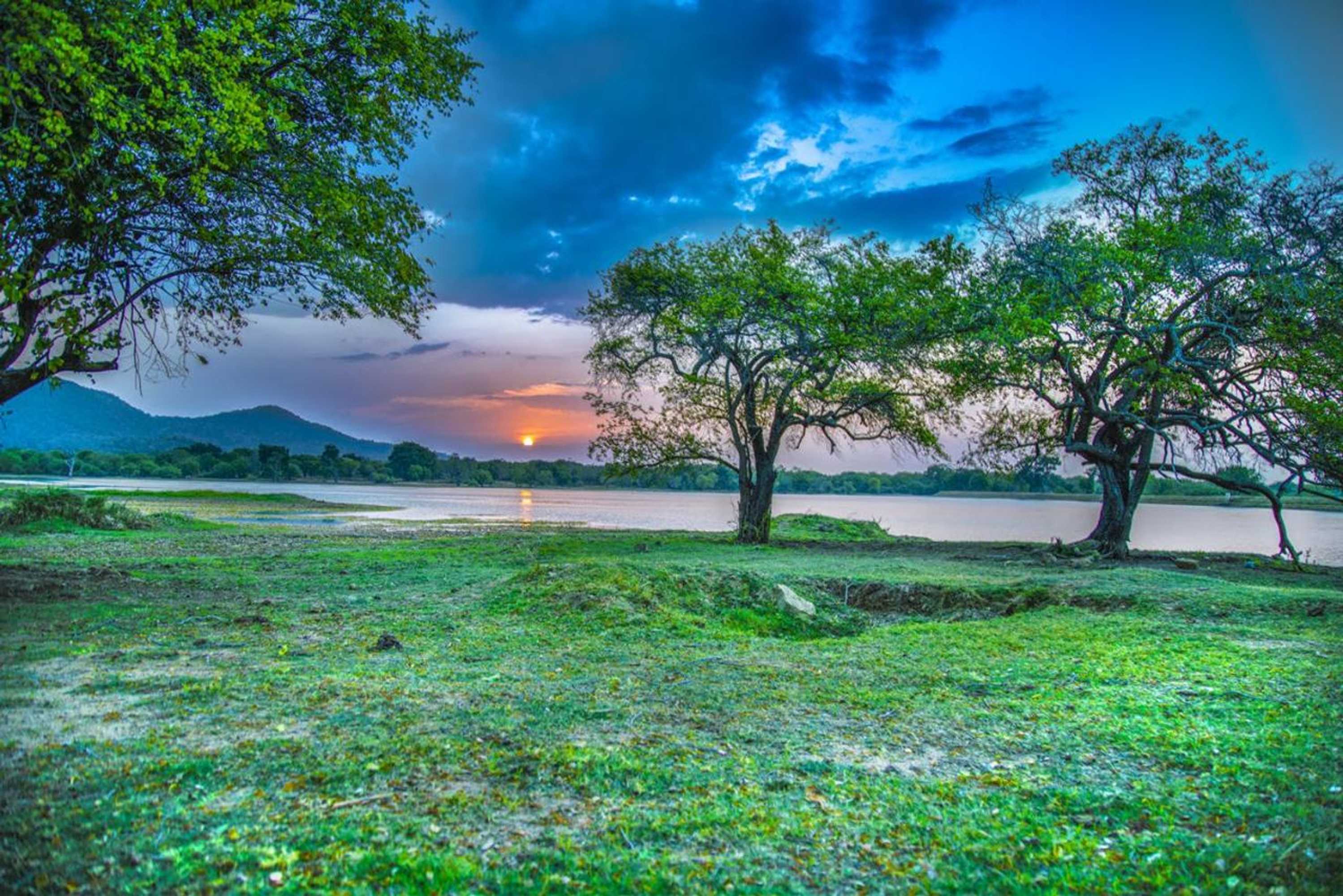 Gift card for Wadula Safari Yala