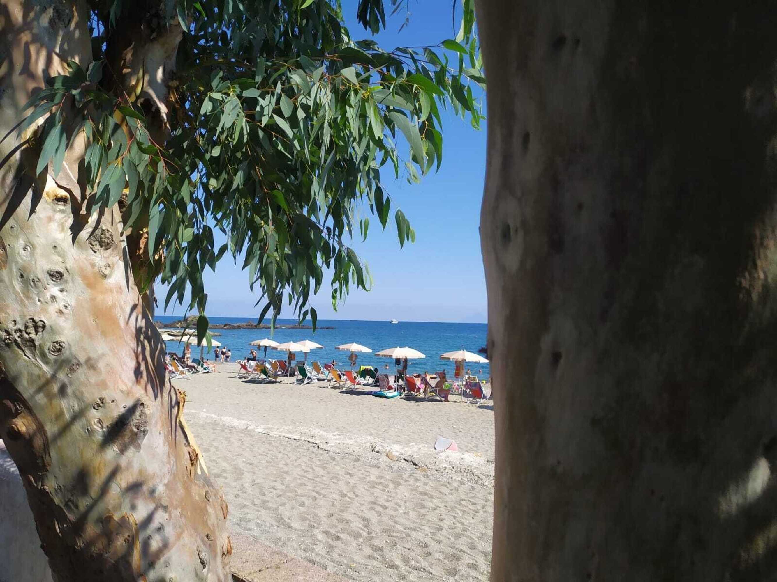 Gift card for Testa di Monaco Natural Beach
