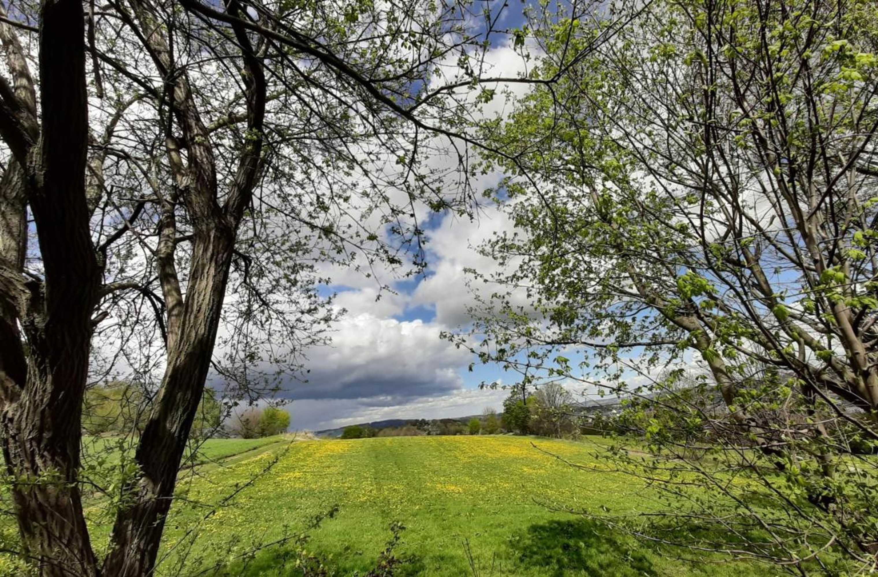 Gift card for Fewo an Der Teufelskanzel