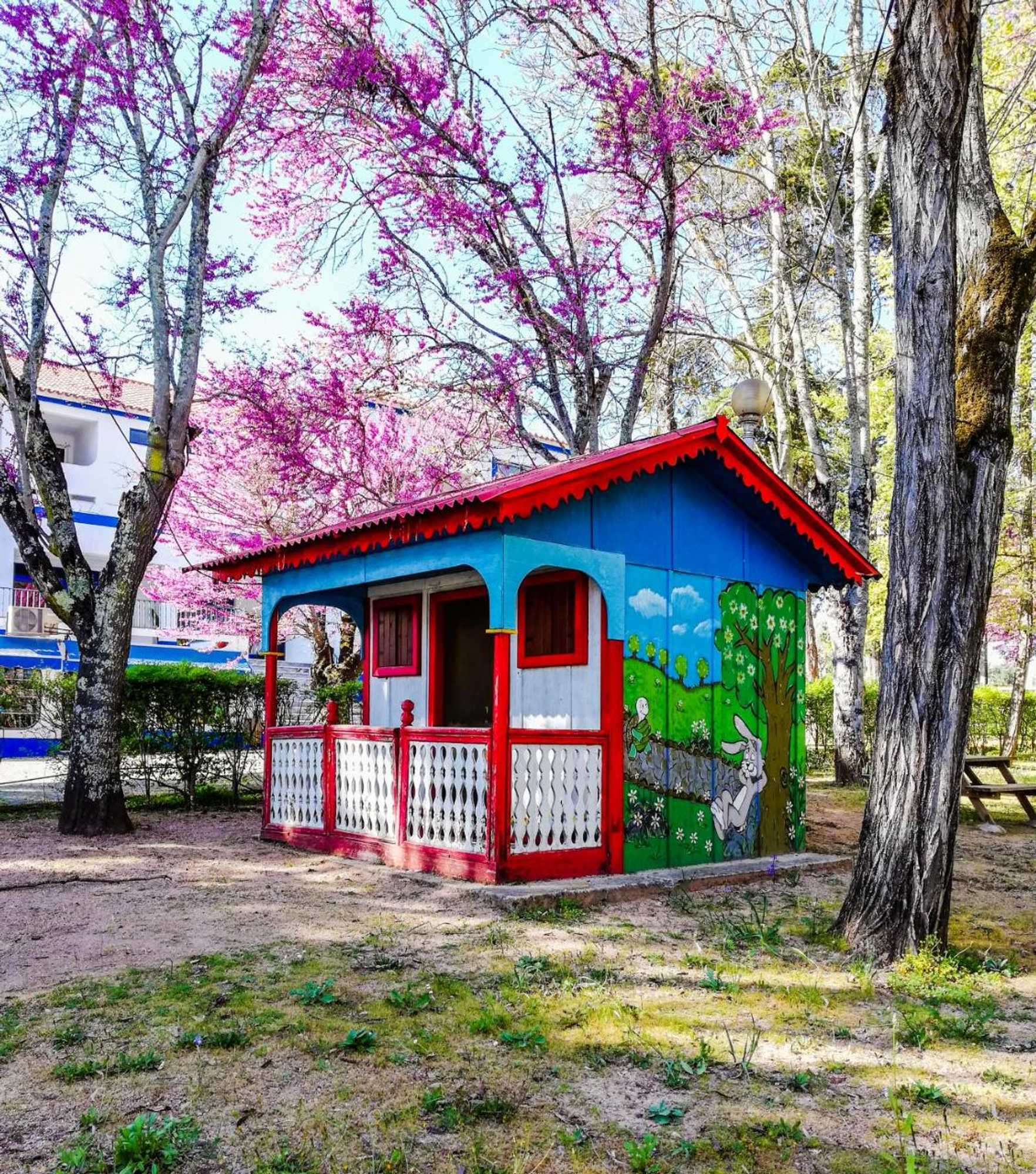 Gift card for Termas da Sulfurea