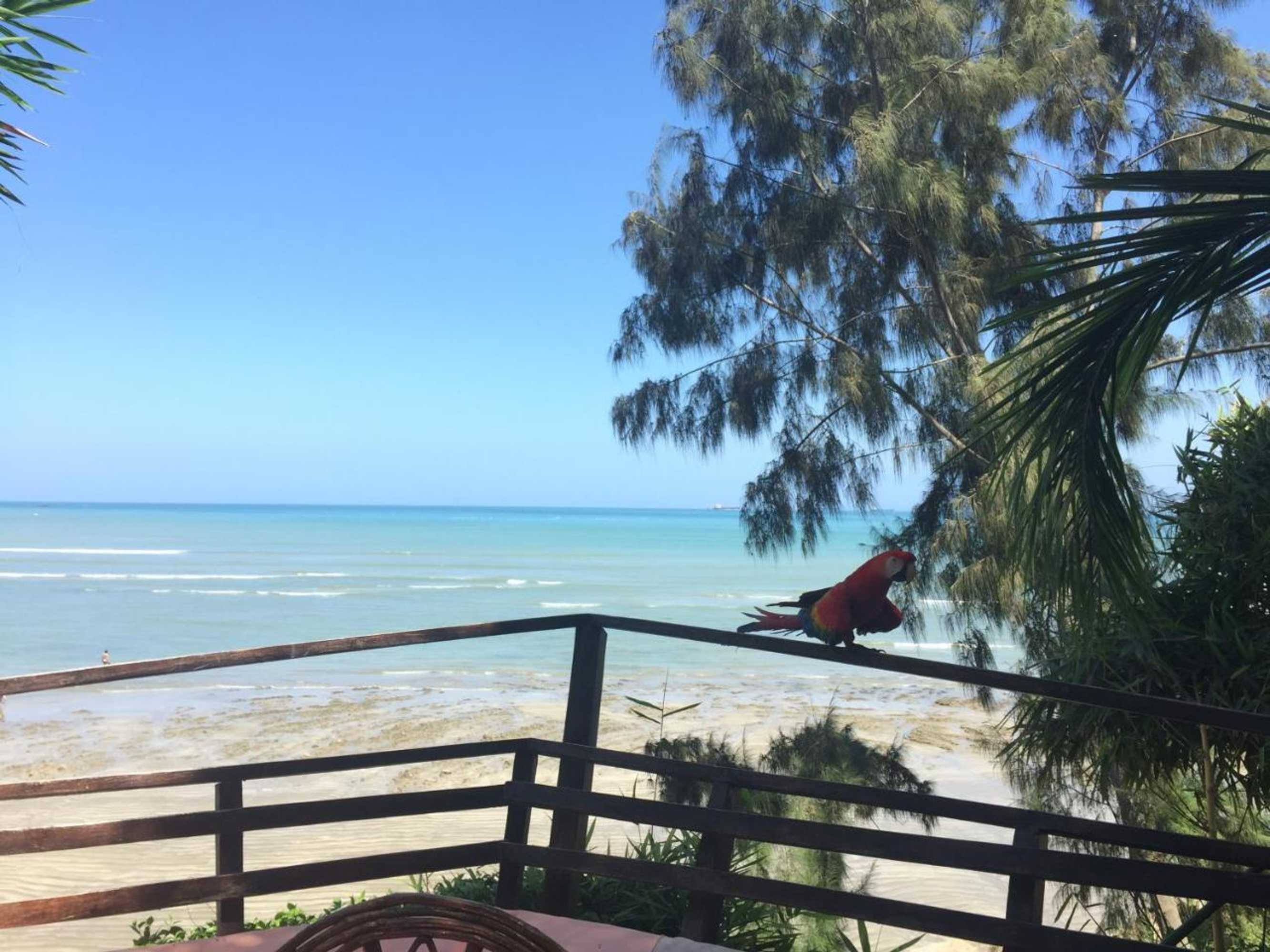 Gift card for Hostería Ecológica El Faro Gift card for Hostería Ecológica El Faro