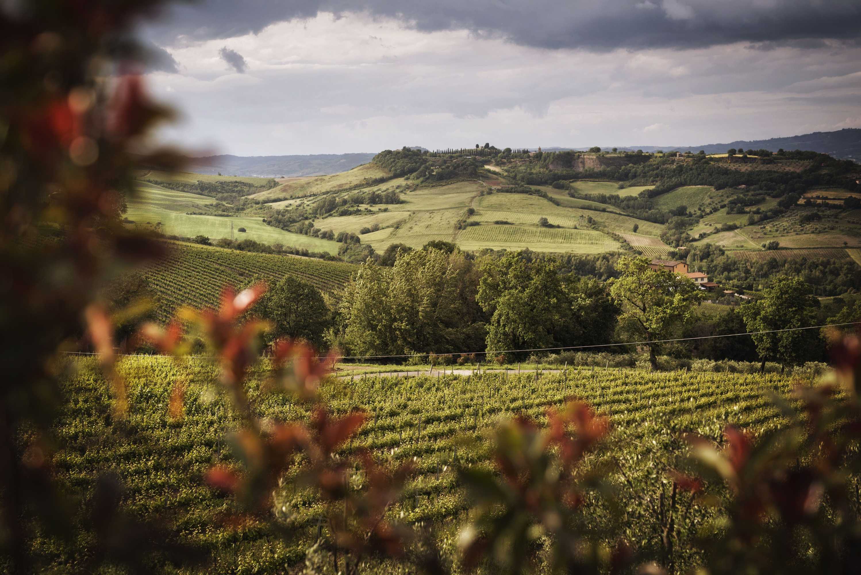 Gift card for Altarocca Wine Resort Adults Only Gift card for Altarocca Wine Resort Adults Only