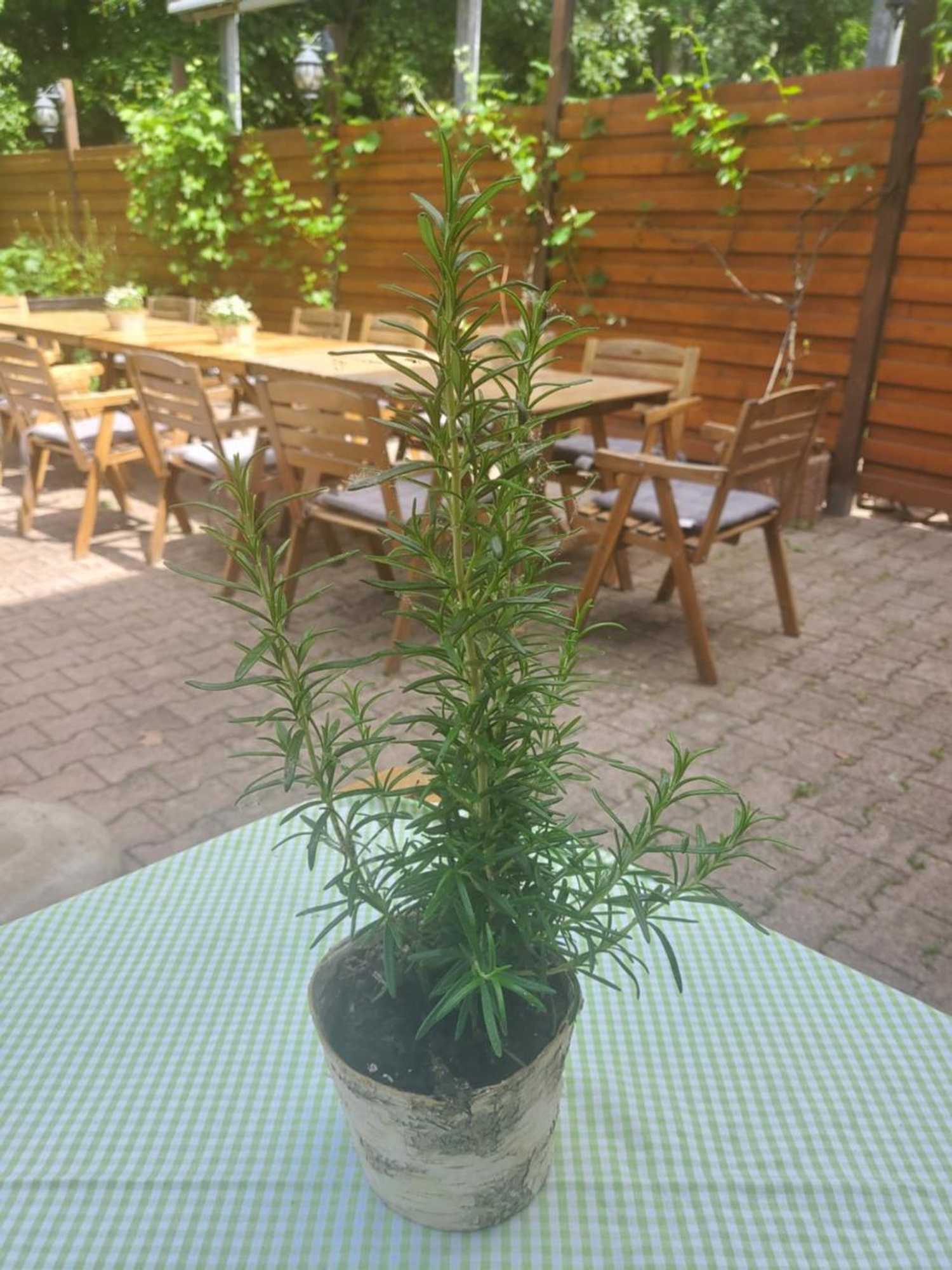 Gift card for Landgasthof Gänsberg