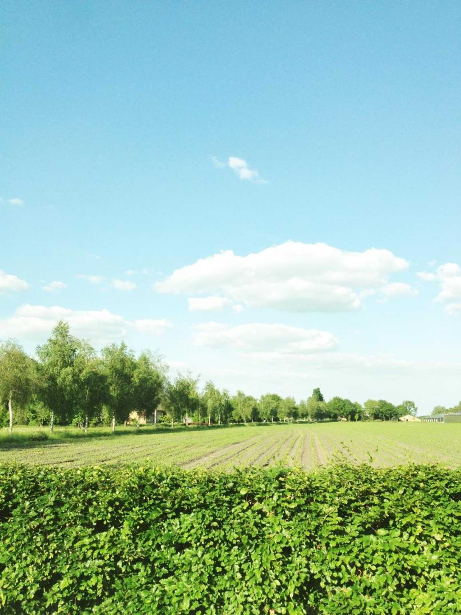 Gift card for Bed en Breakfast Boekel