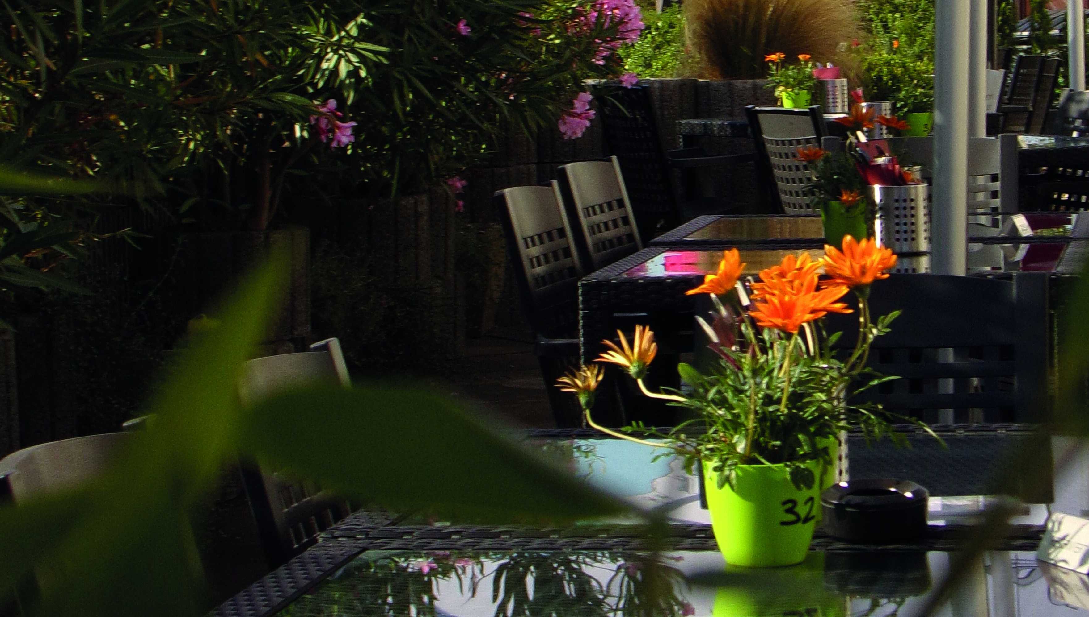 Gift card for Hotel Zum Deich