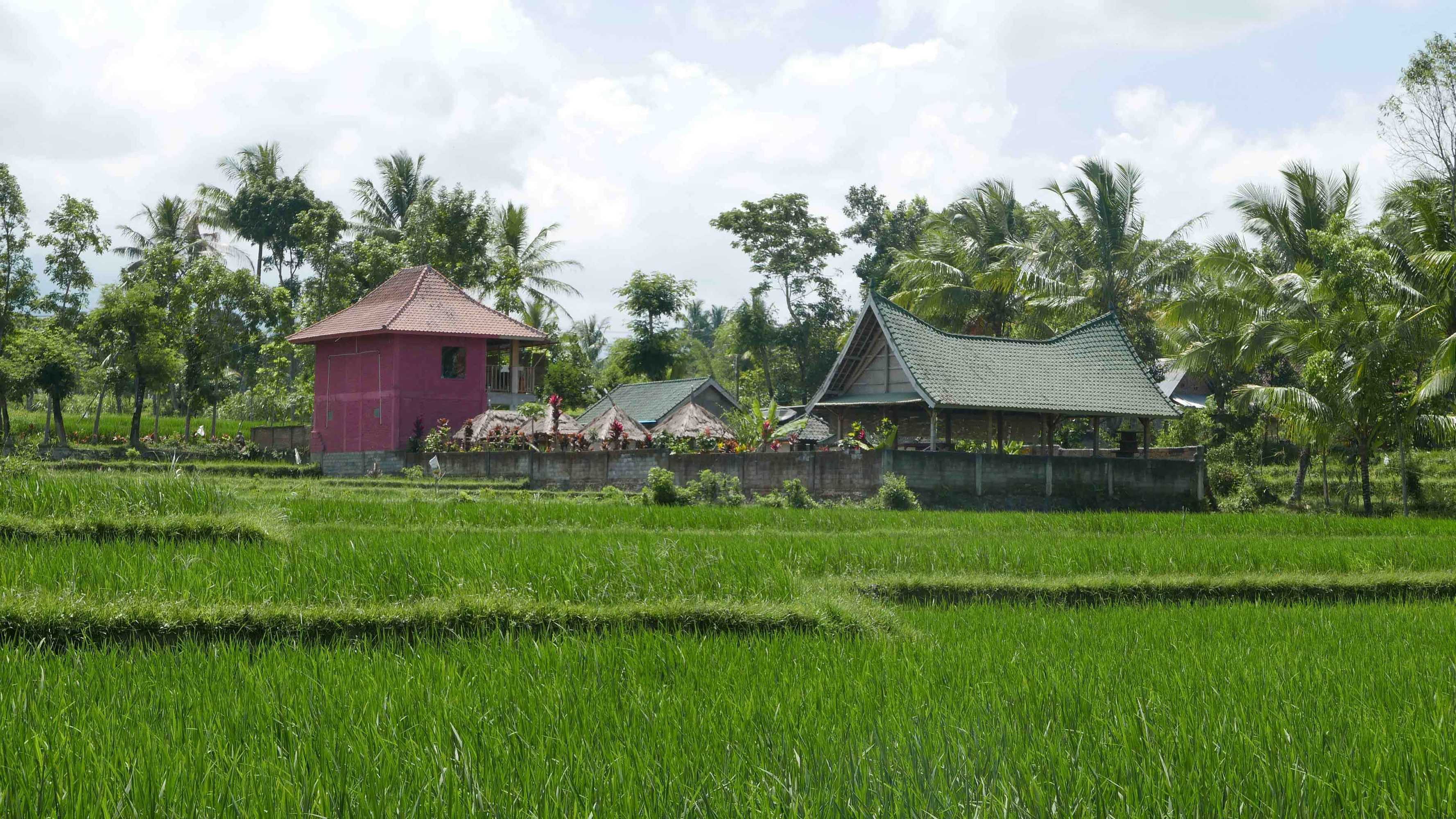 Gift card for Cahaya Tetebatu Inn