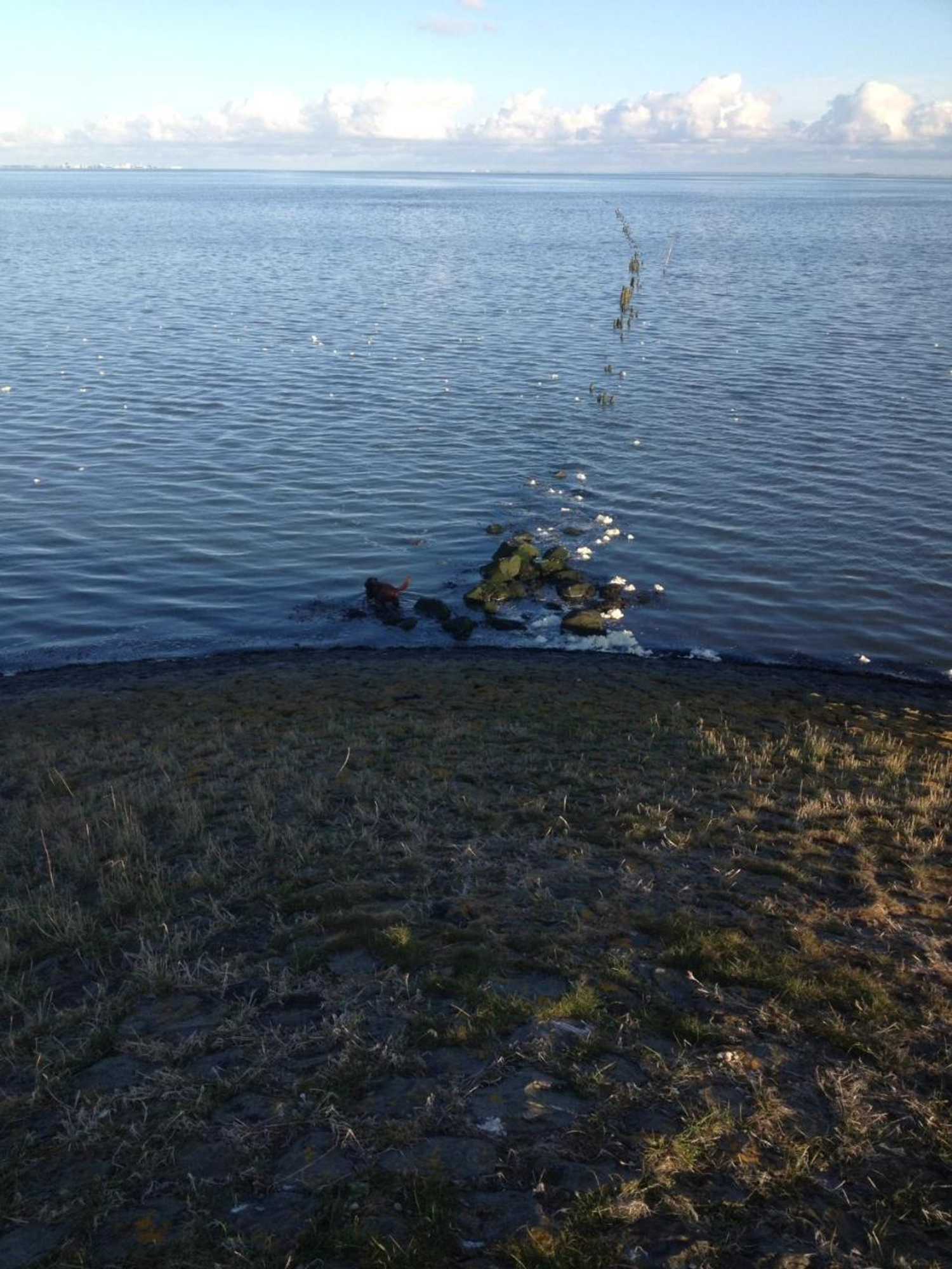 Gift card for Het Huis Van de Wadden