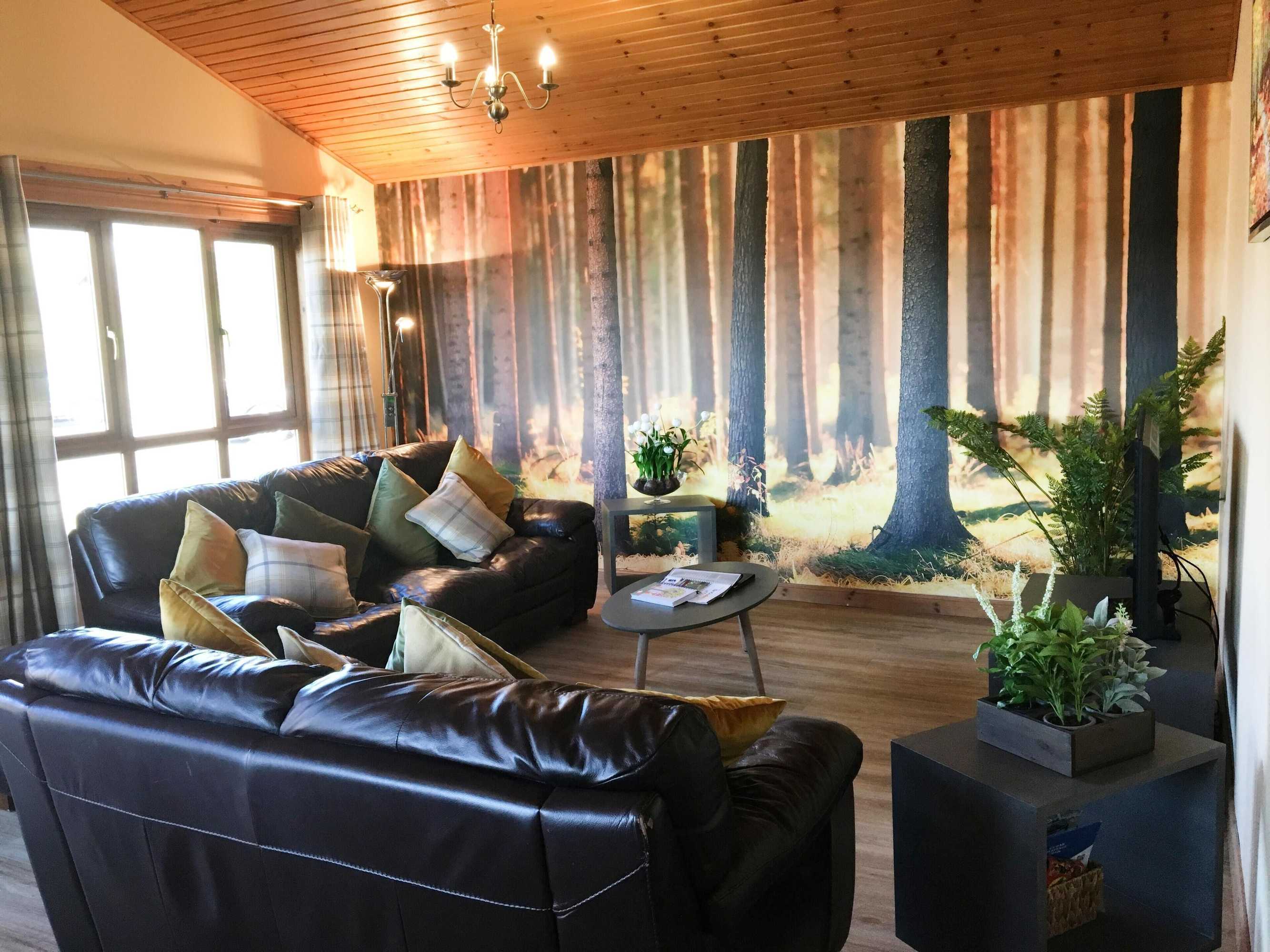 Gift card for Silver Birch Lodge With Hot Tub Near Cupar, Fife