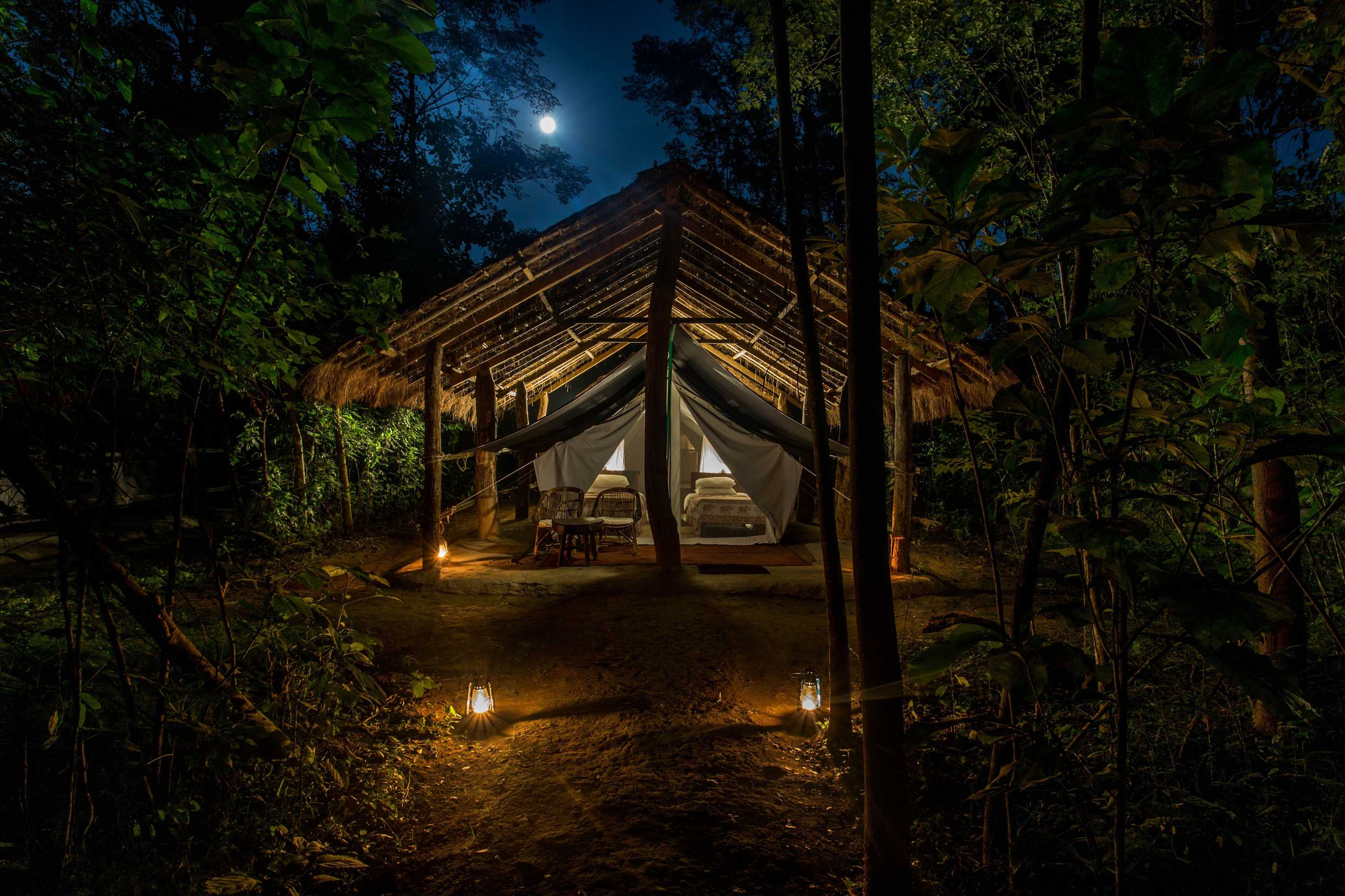 Gift card for Tiger Tops Tharu Lodge Gift card for Tiger Tops Tharu Lodge
