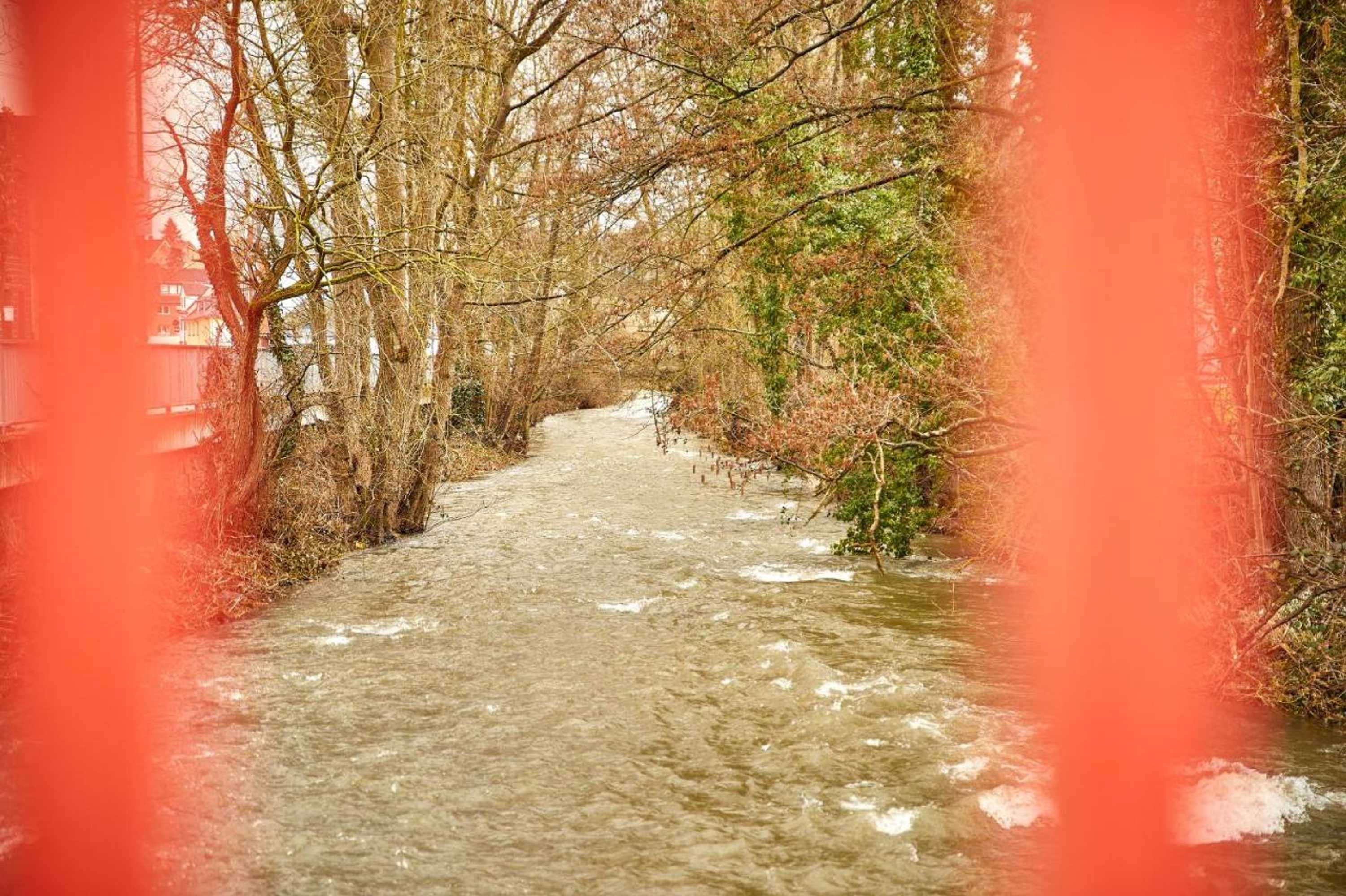 Gift card for Hotel Zum Dicken Baum