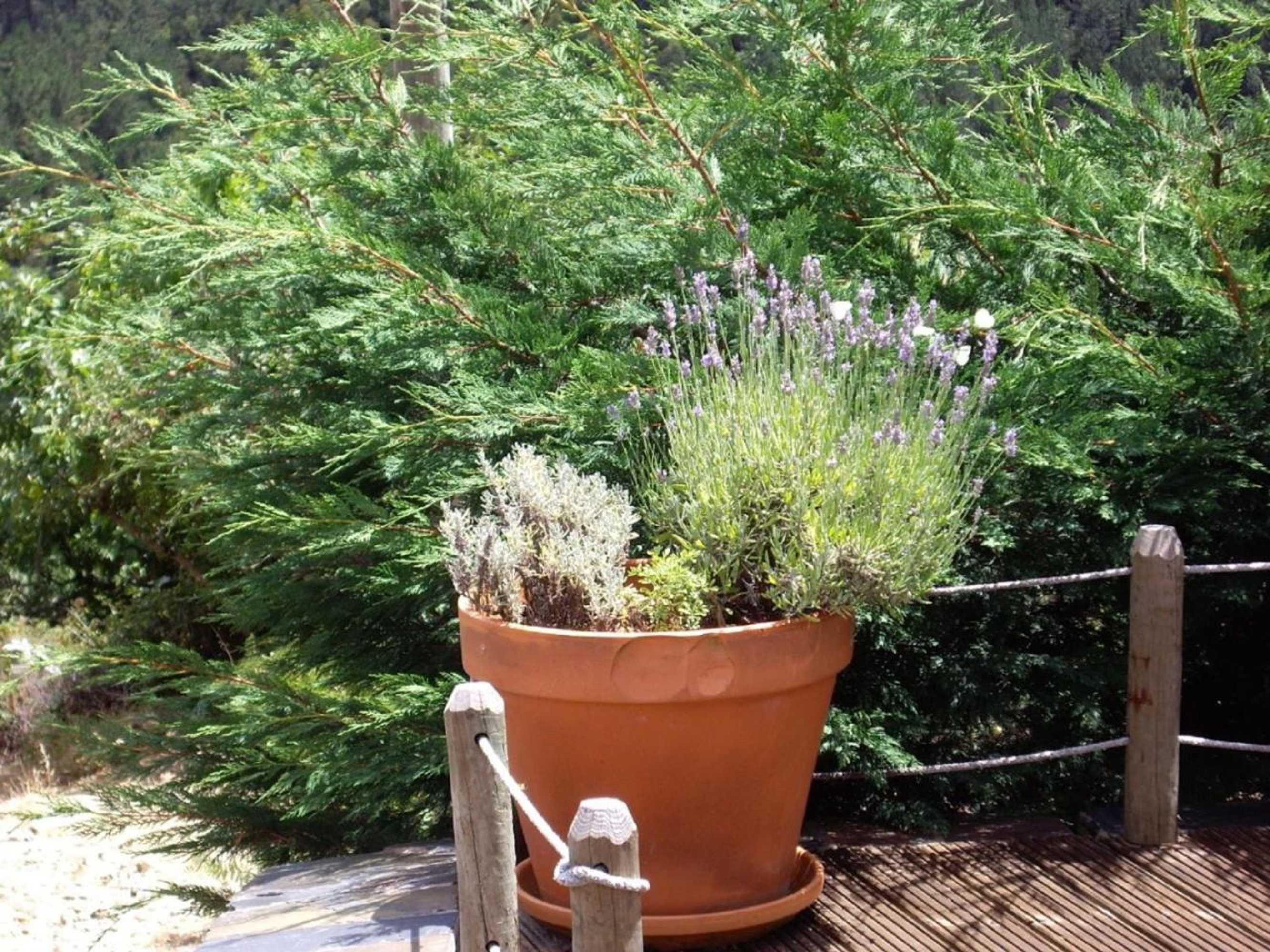 Gift card for Pátio do Xisto