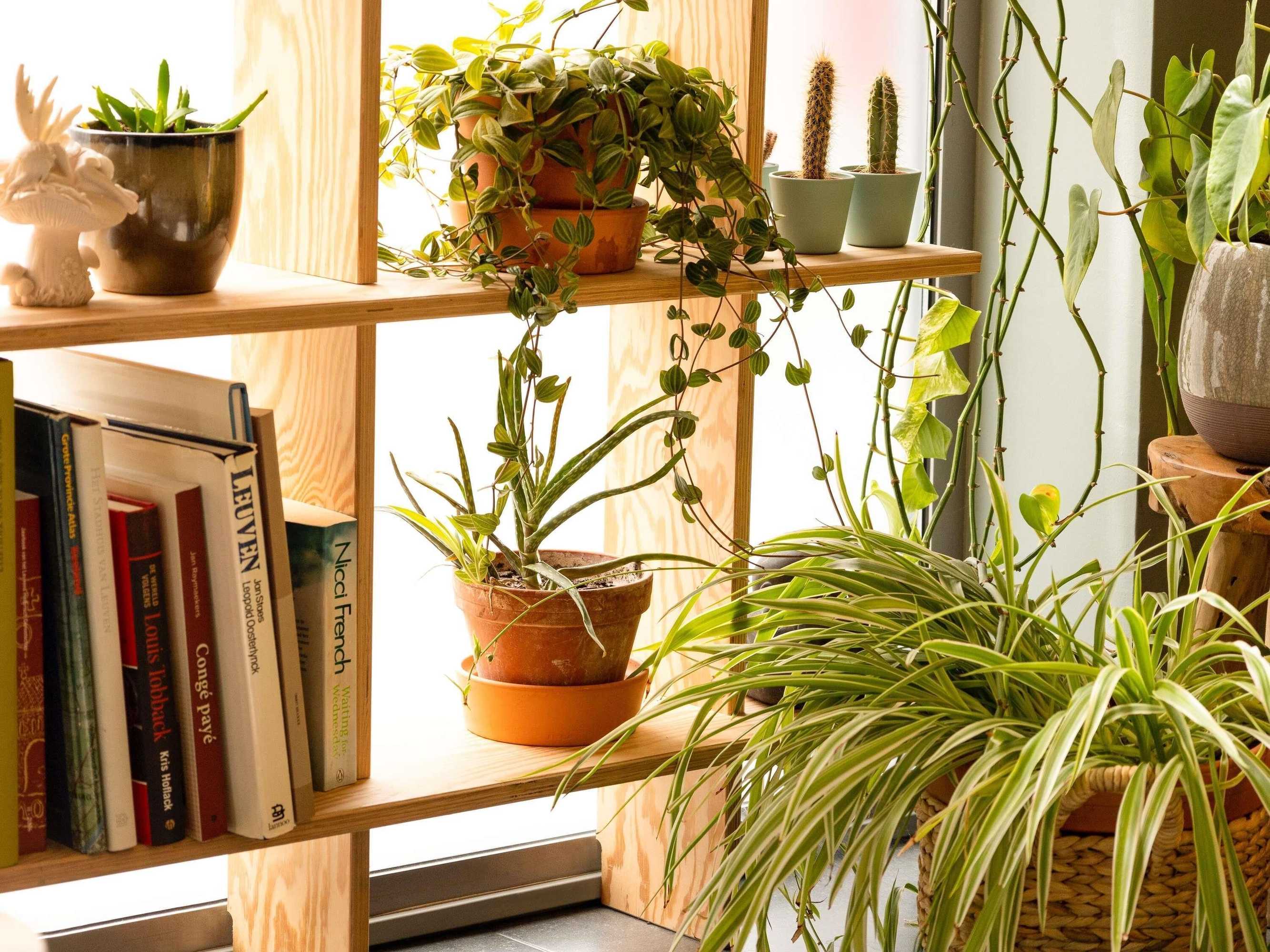 Gift card for Ibis Leuven Centrum