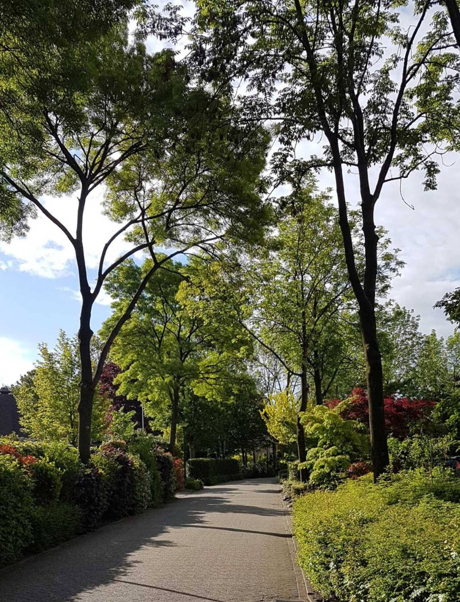 Gift card for Bed en Breakfast de Olm