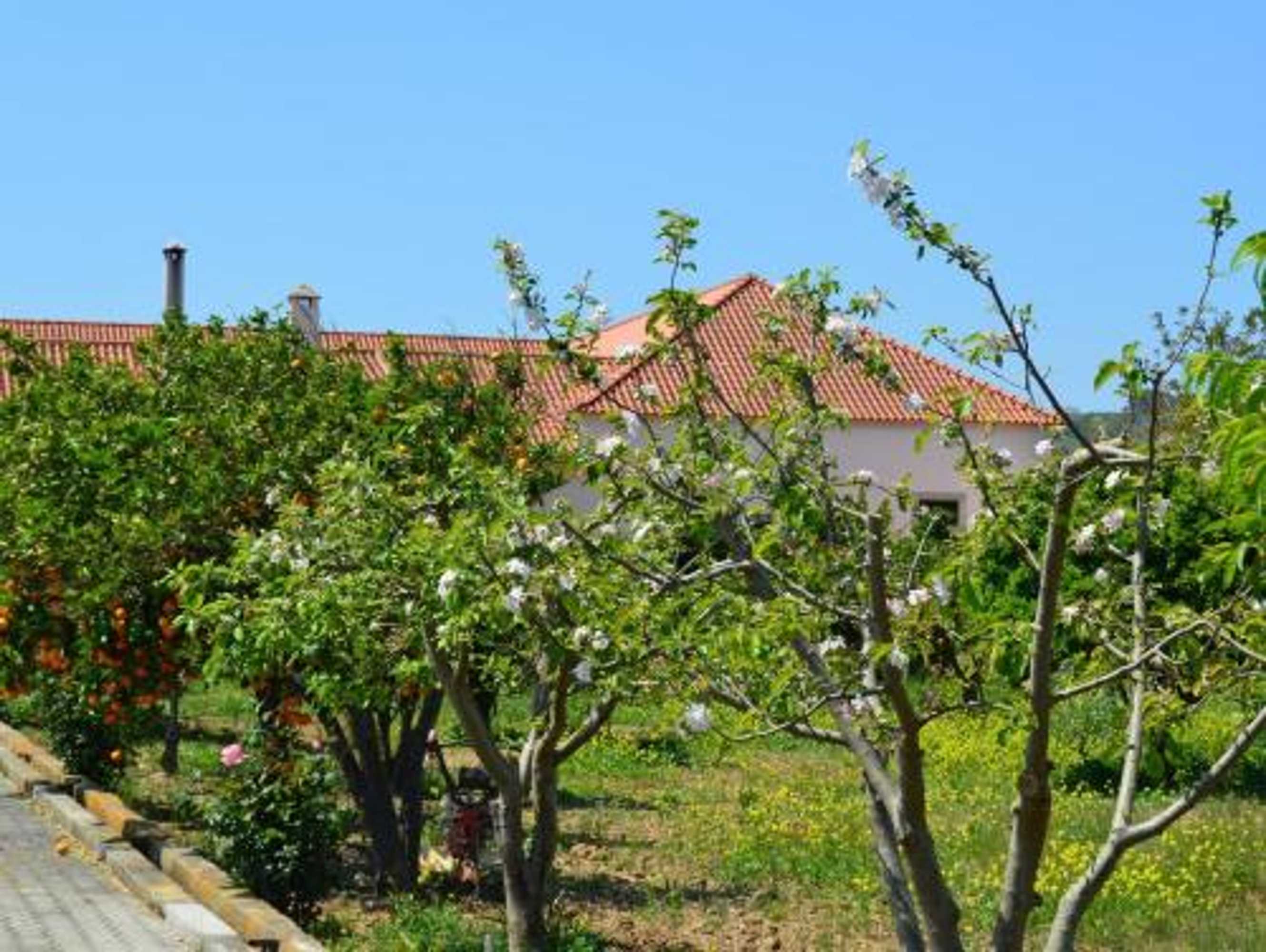 Gift card for Quinta do Covanco Gift card for Quinta do Covanco