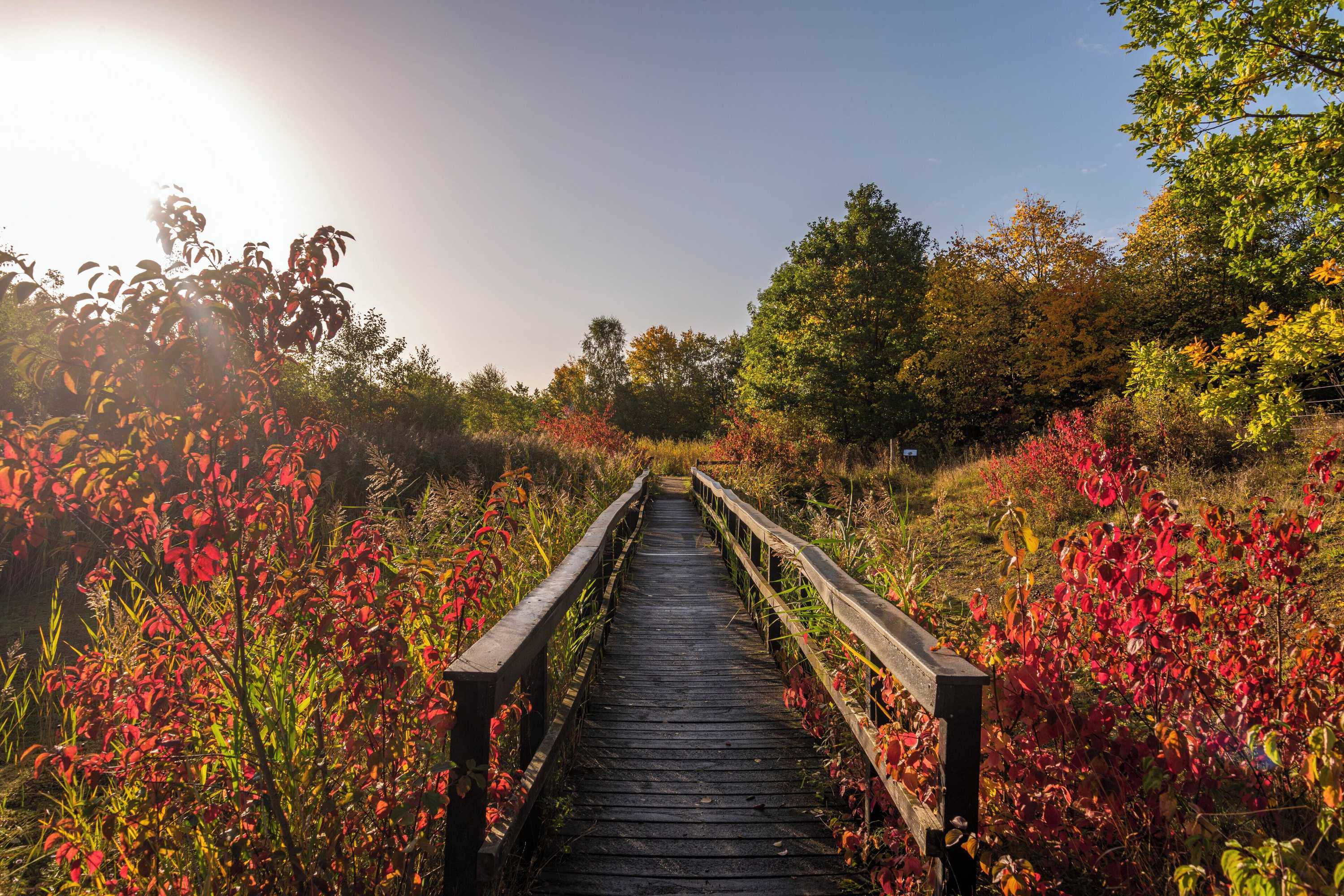 Gift card for Holiday Inn Express Rotherham North by Ihg