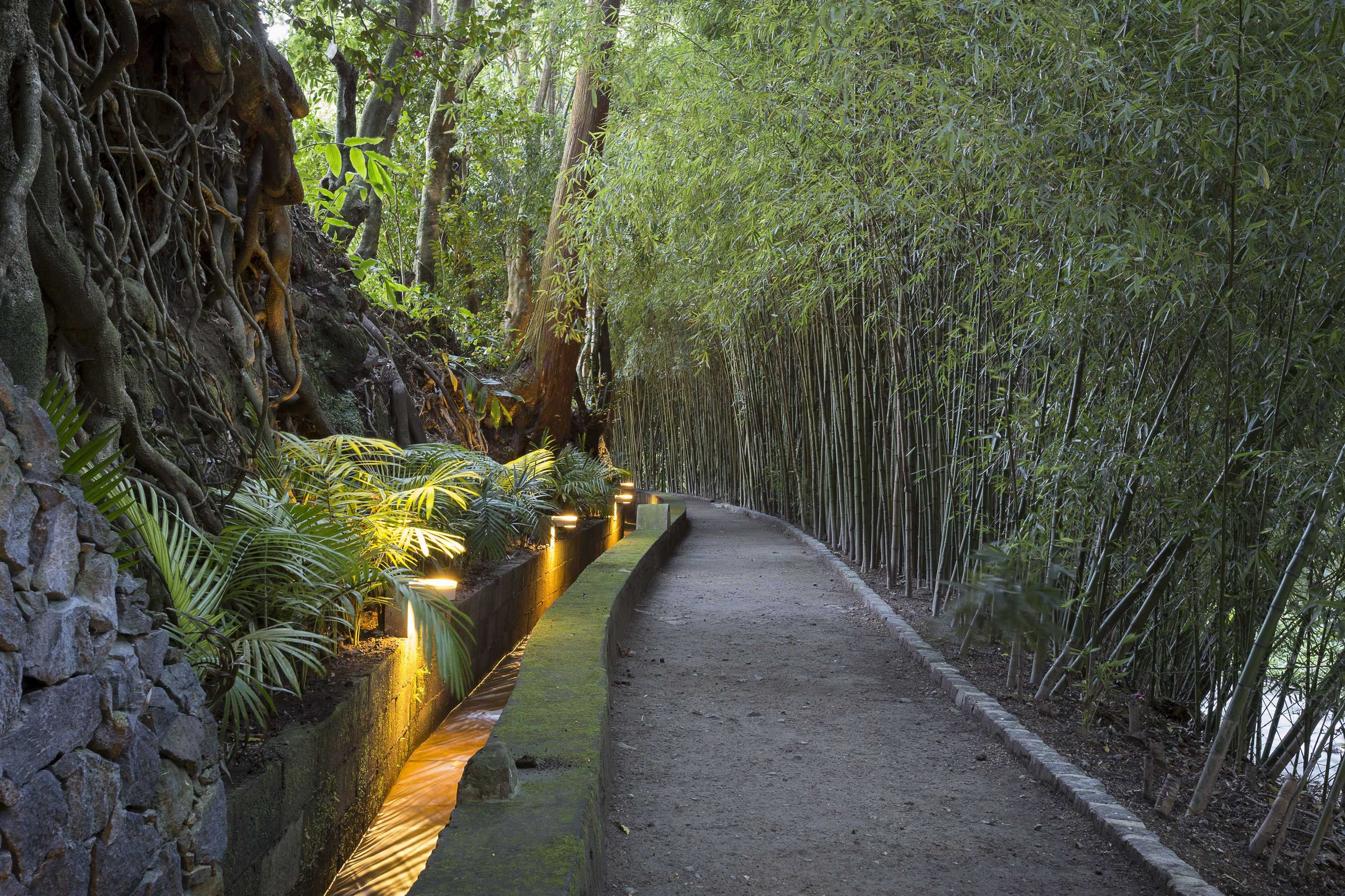 Gift card for Quinta da Mó