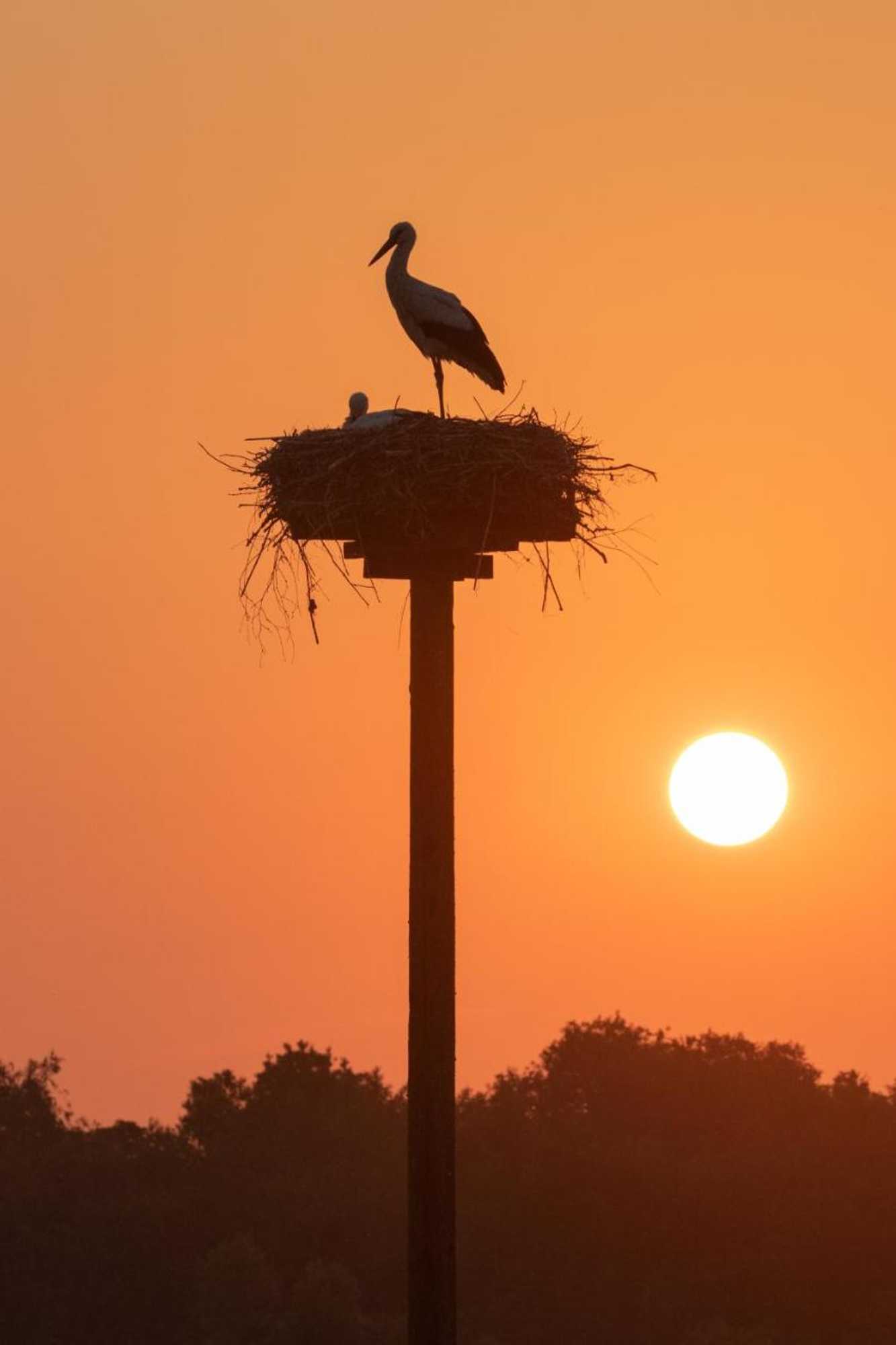 Gift card for Bed And Breakfast Simmerwille