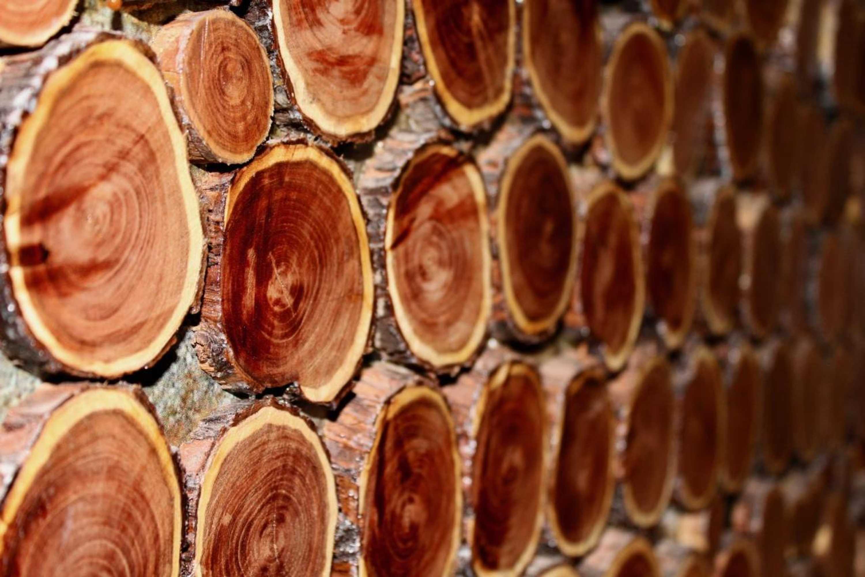 Gift card for Hotel Manada Del Desierto Gift card for Hotel Manada Del Desierto